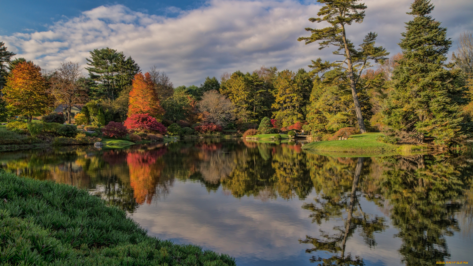 природа, реки, озера, лес, река, осень
