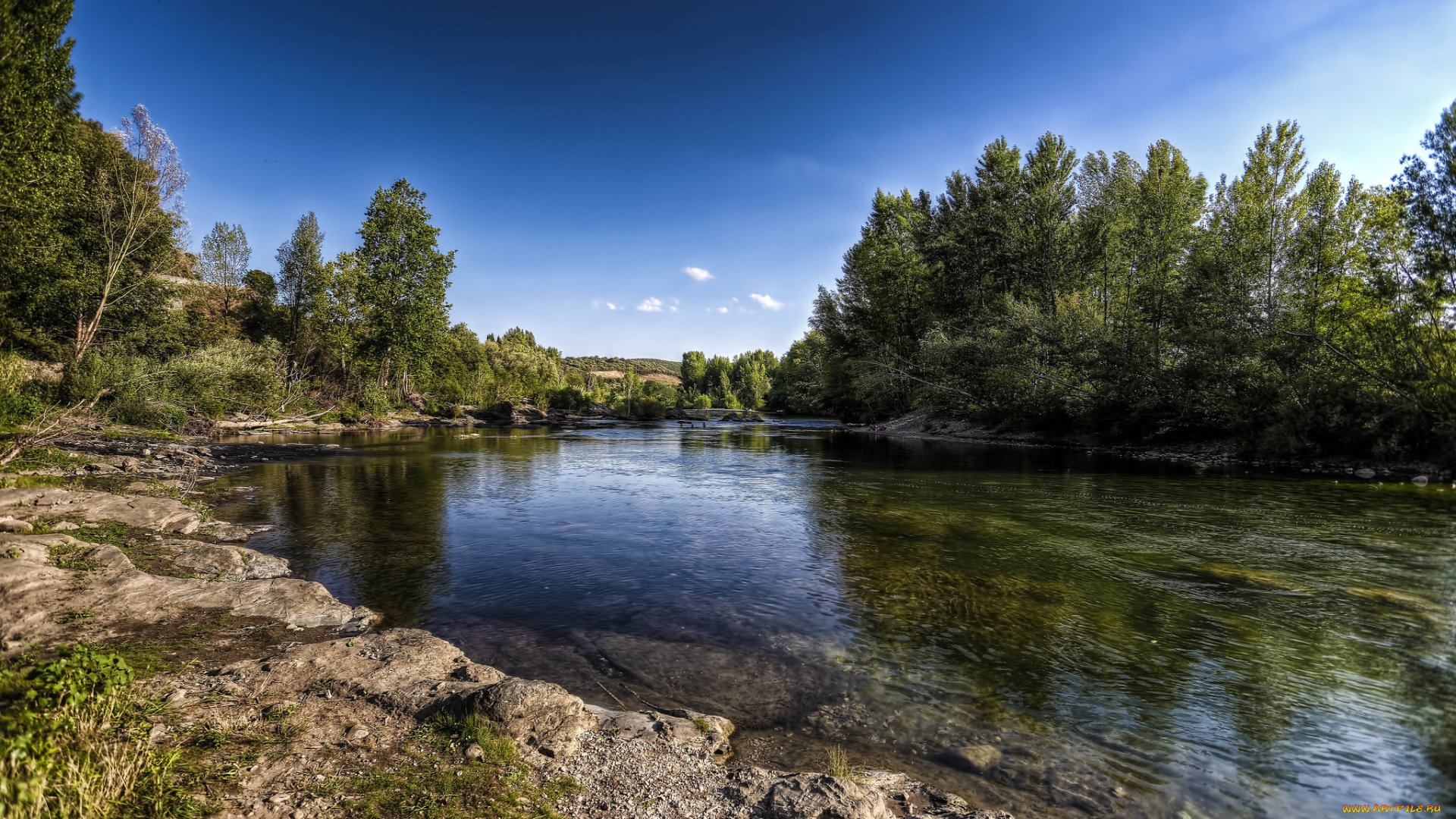 природа, реки, озера, река, лес