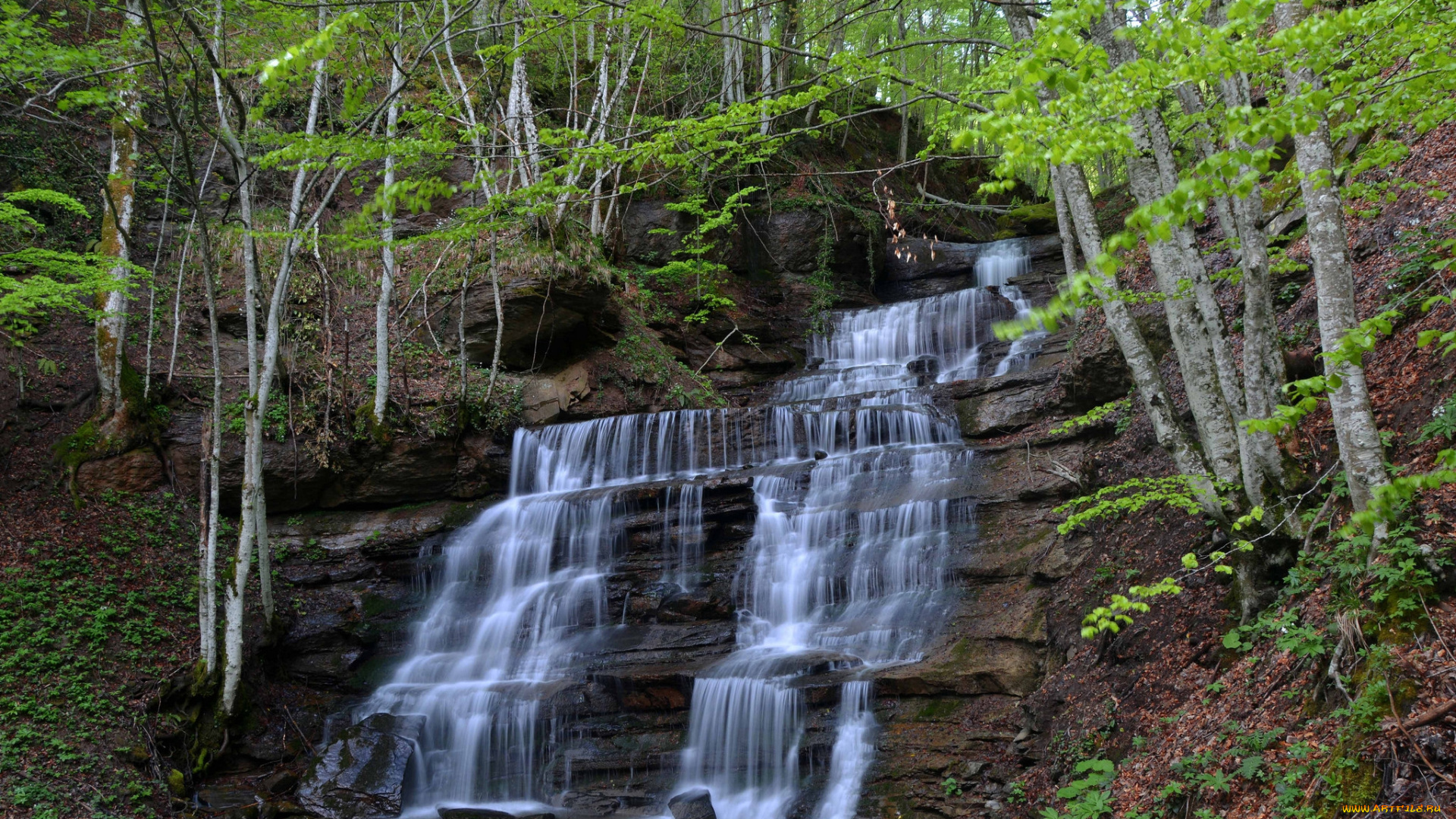 природа, водопады, река, лес, водопад