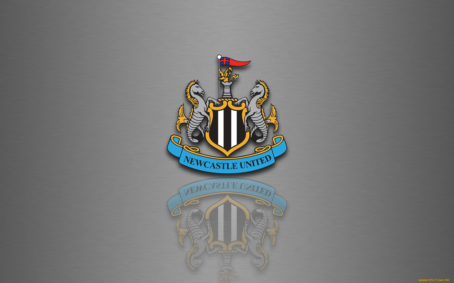 спорт, эмблемы, клубов, фон, логотип