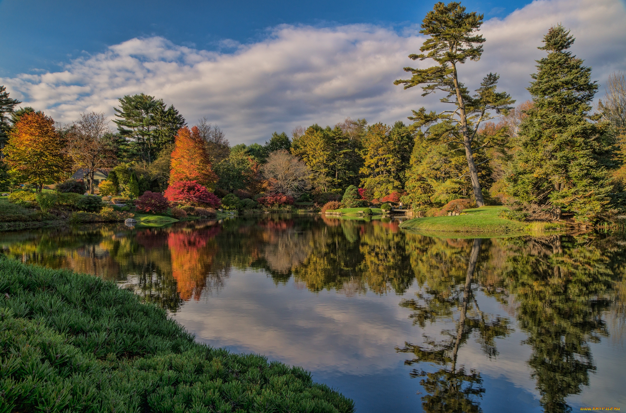 природа, реки, озера, лес, река, осень