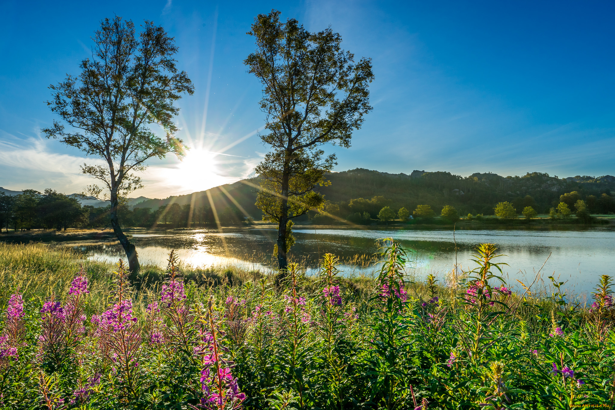 природа, восходы, закаты, река, лес