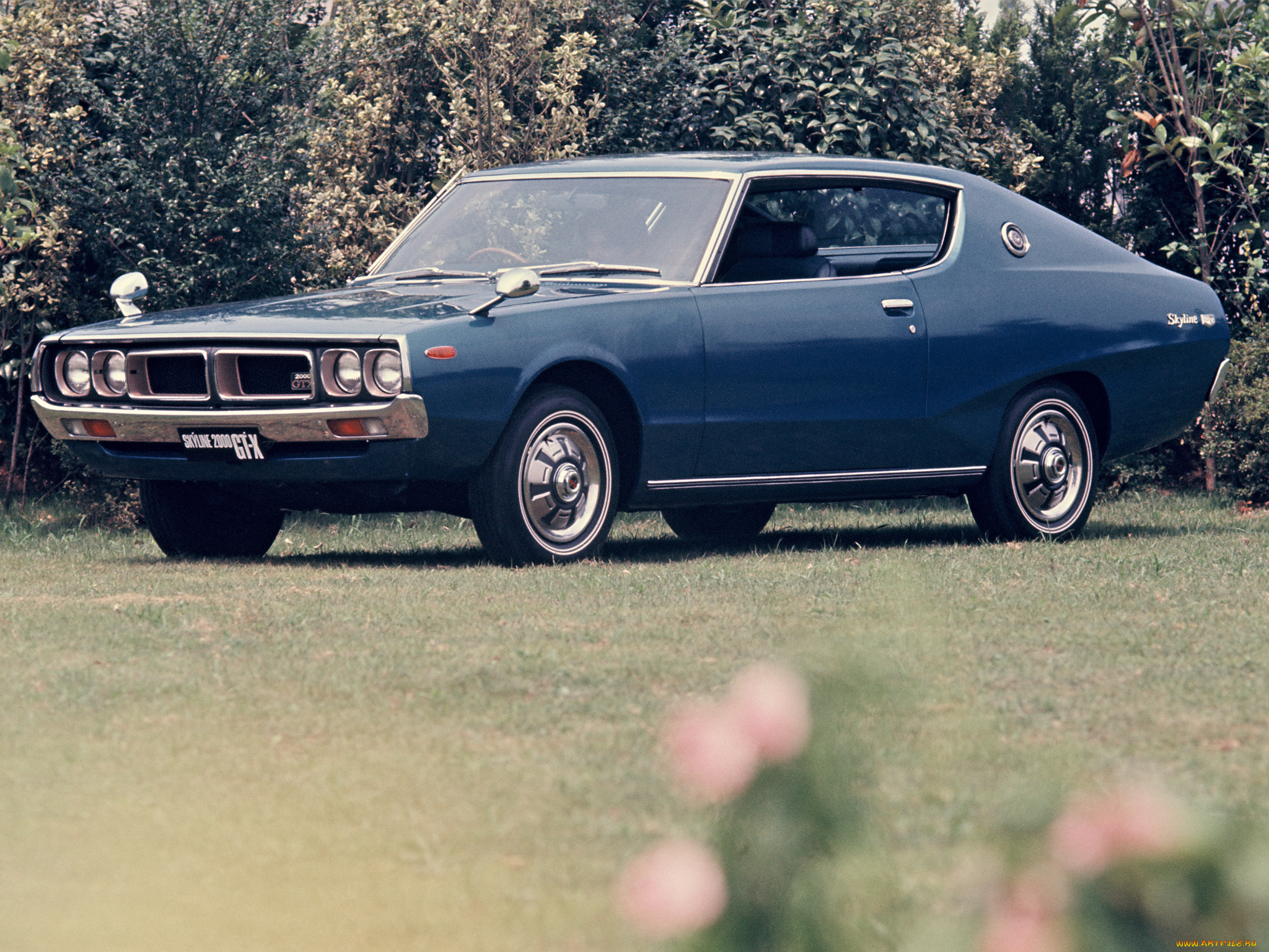 автомобили, nissan, datsun