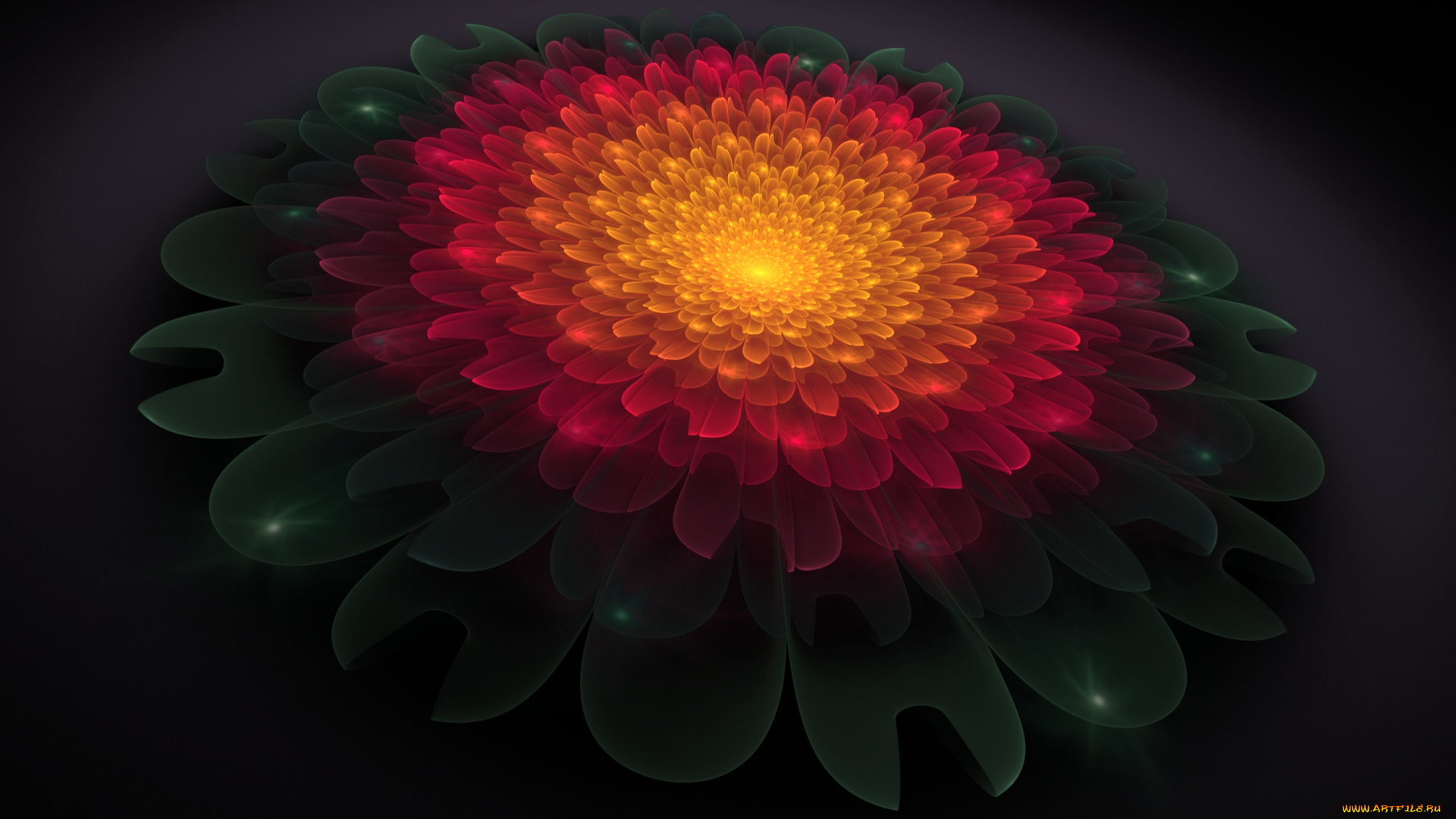 3д, графика, цветы, , flowers, узор, фон, цвета