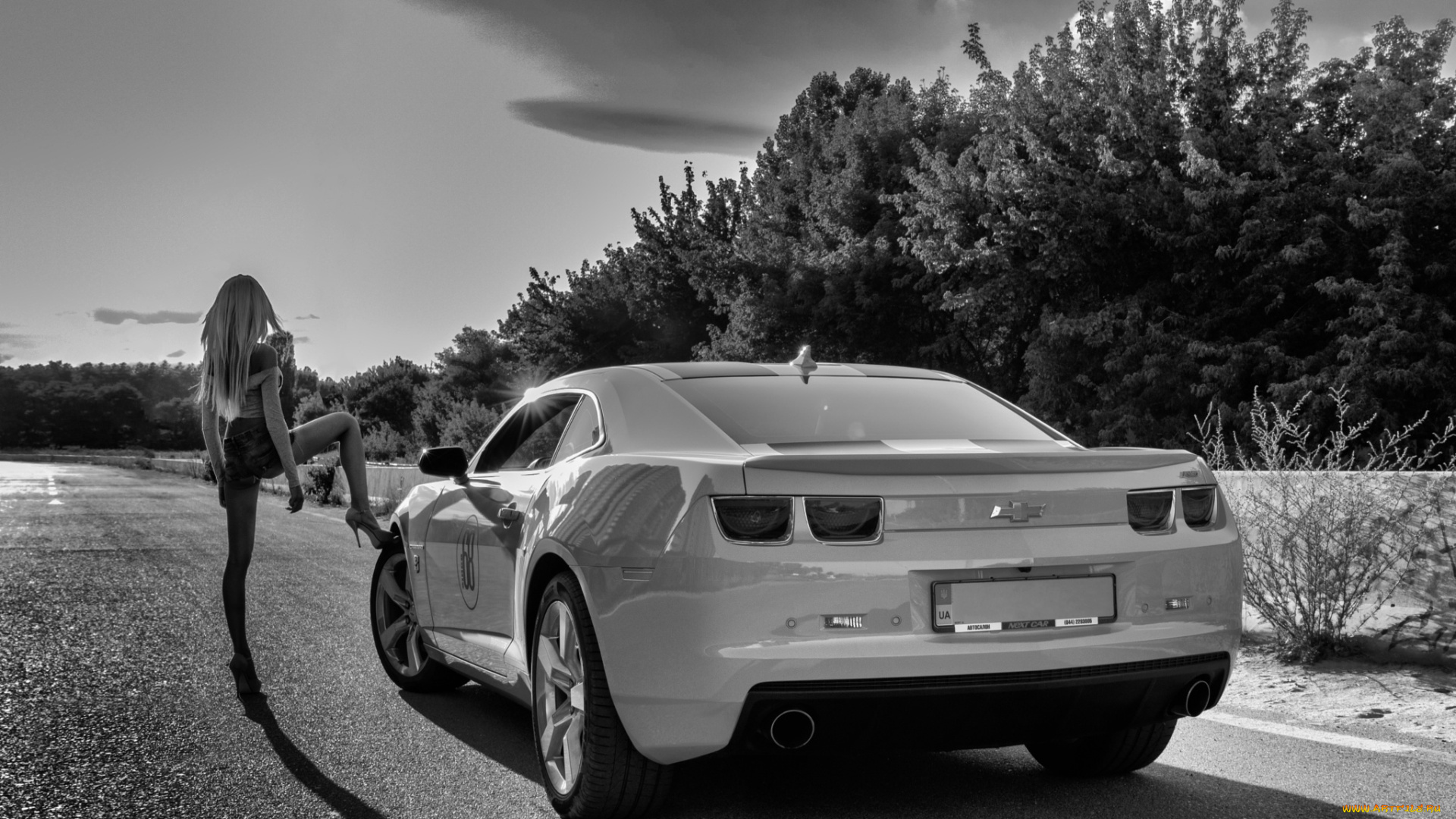 автомобили, -авто, с, девушками, kate, camaro