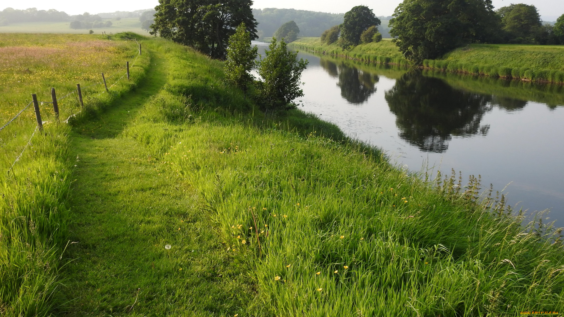 природа, реки, озера, деревья, трава, изгородь, река, тропинка, поле, зелень, лето, райбл, river, ribble, великобритания