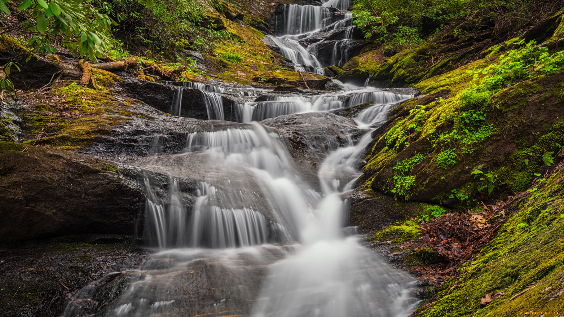природа, водопады, лес, водопад, река