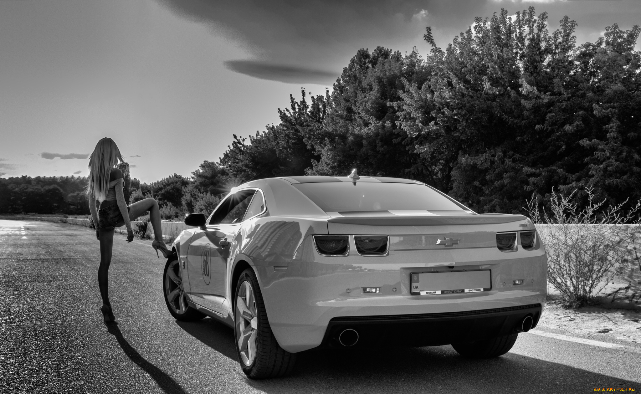 автомобили, -авто, с, девушками, kate, camaro