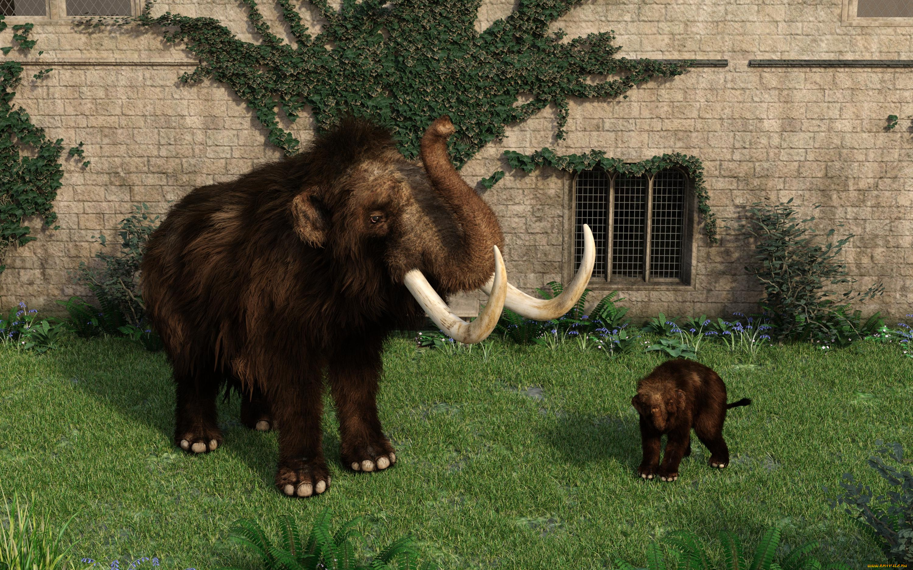 3д, графика, животные, , animals, фон, мамонт