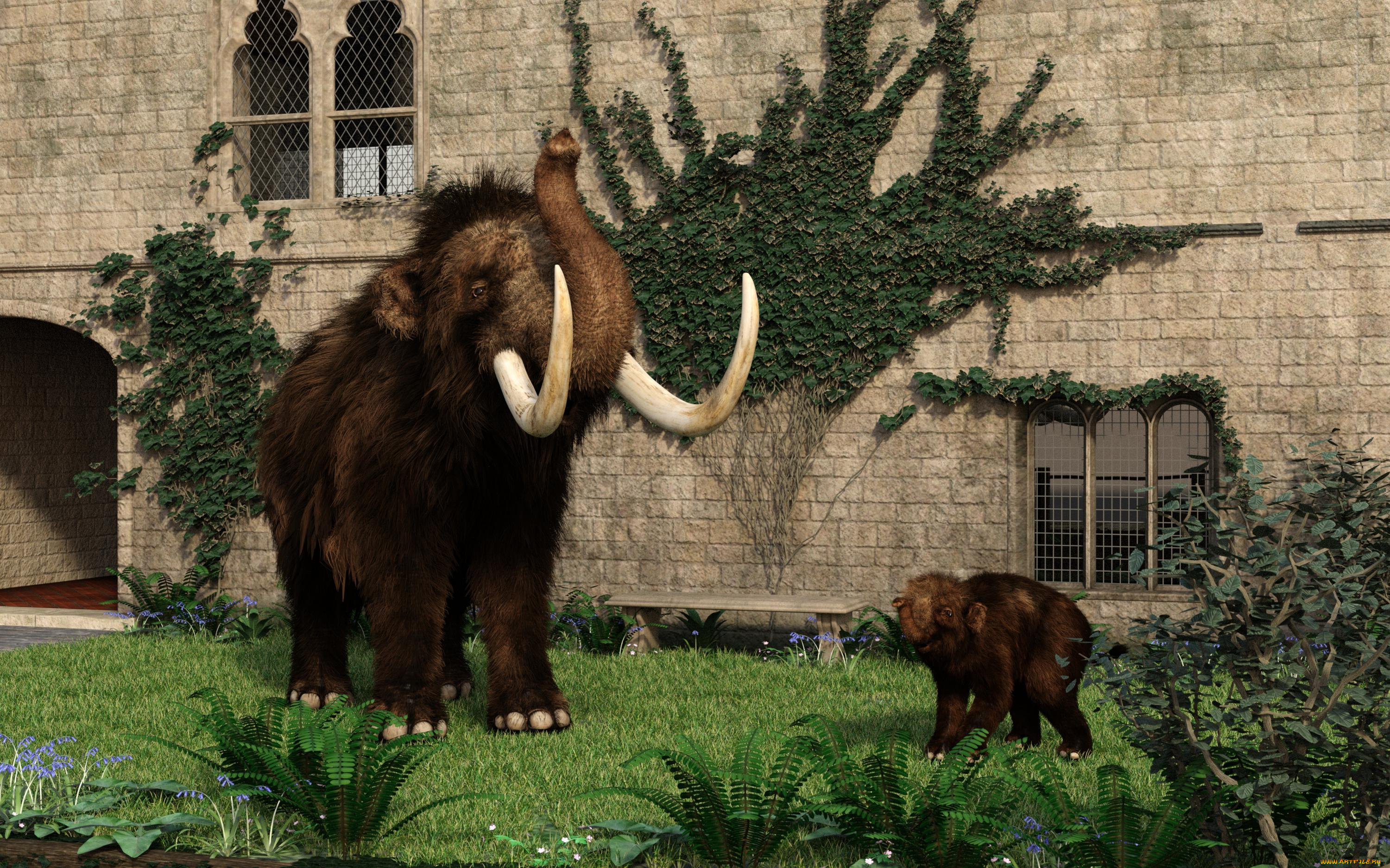 3д, графика, животные, , animals, фон, мамонт