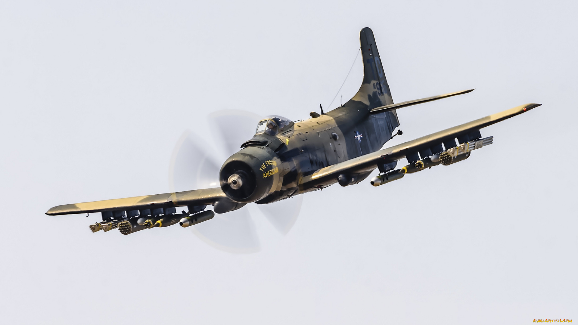 douglas, ad-4n, skyraider, авиация, боевые, самолёты, истребитель