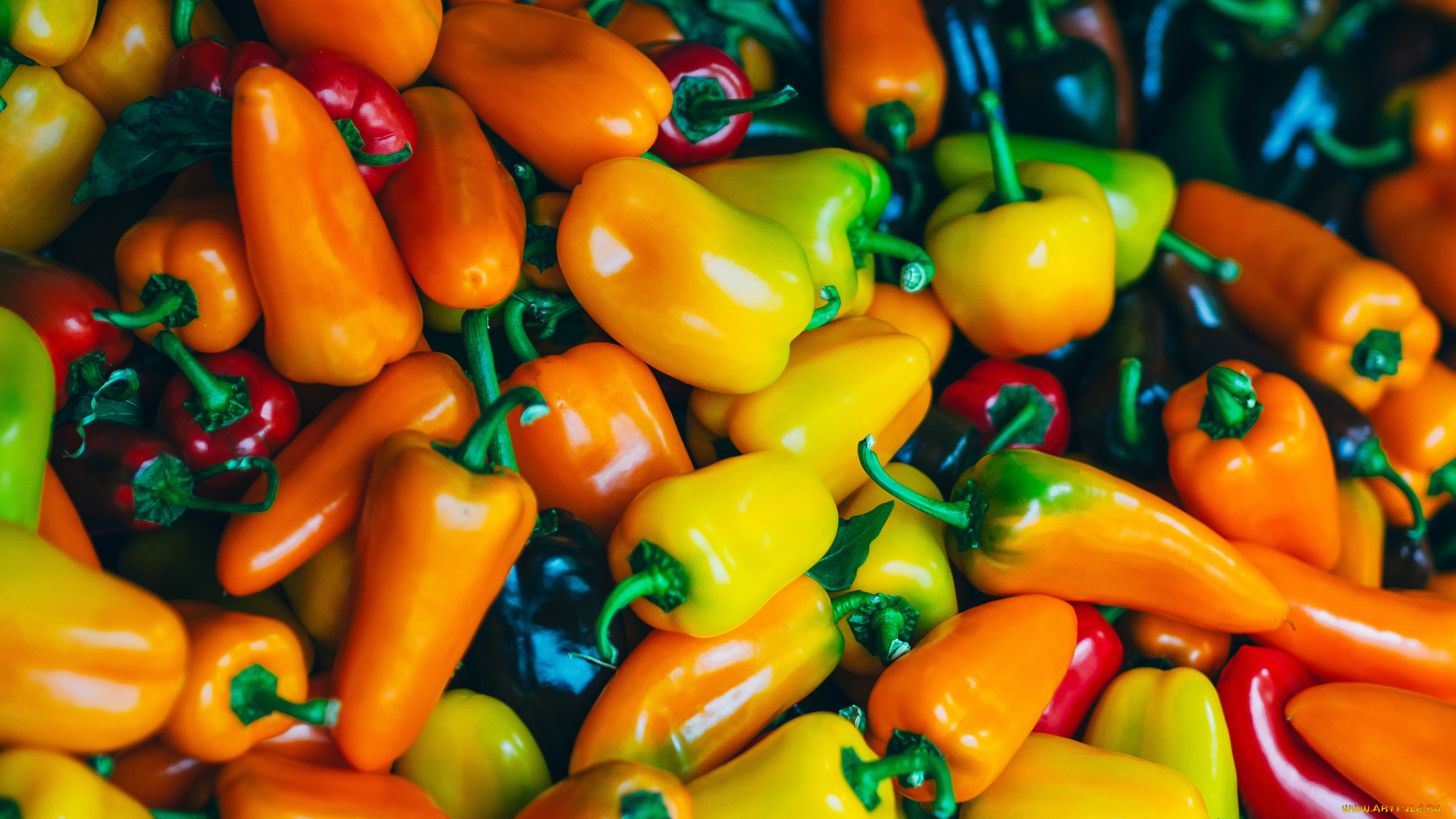 еда, перец, снедь