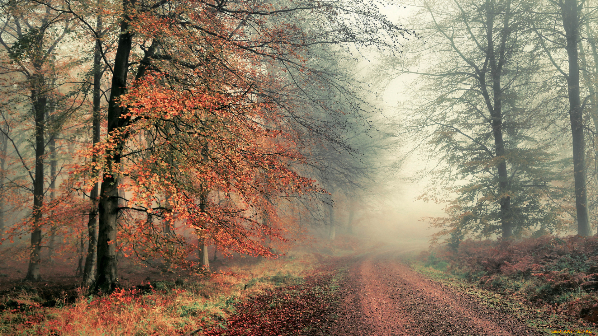 природа, дороги, простор