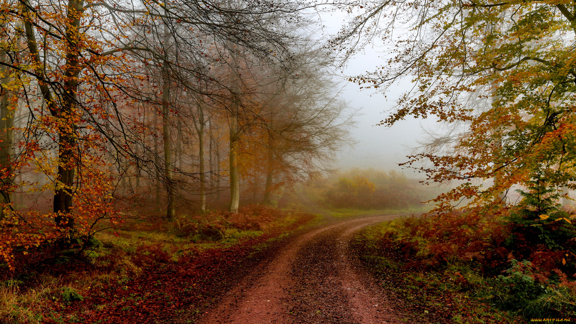 природа, дороги, простор