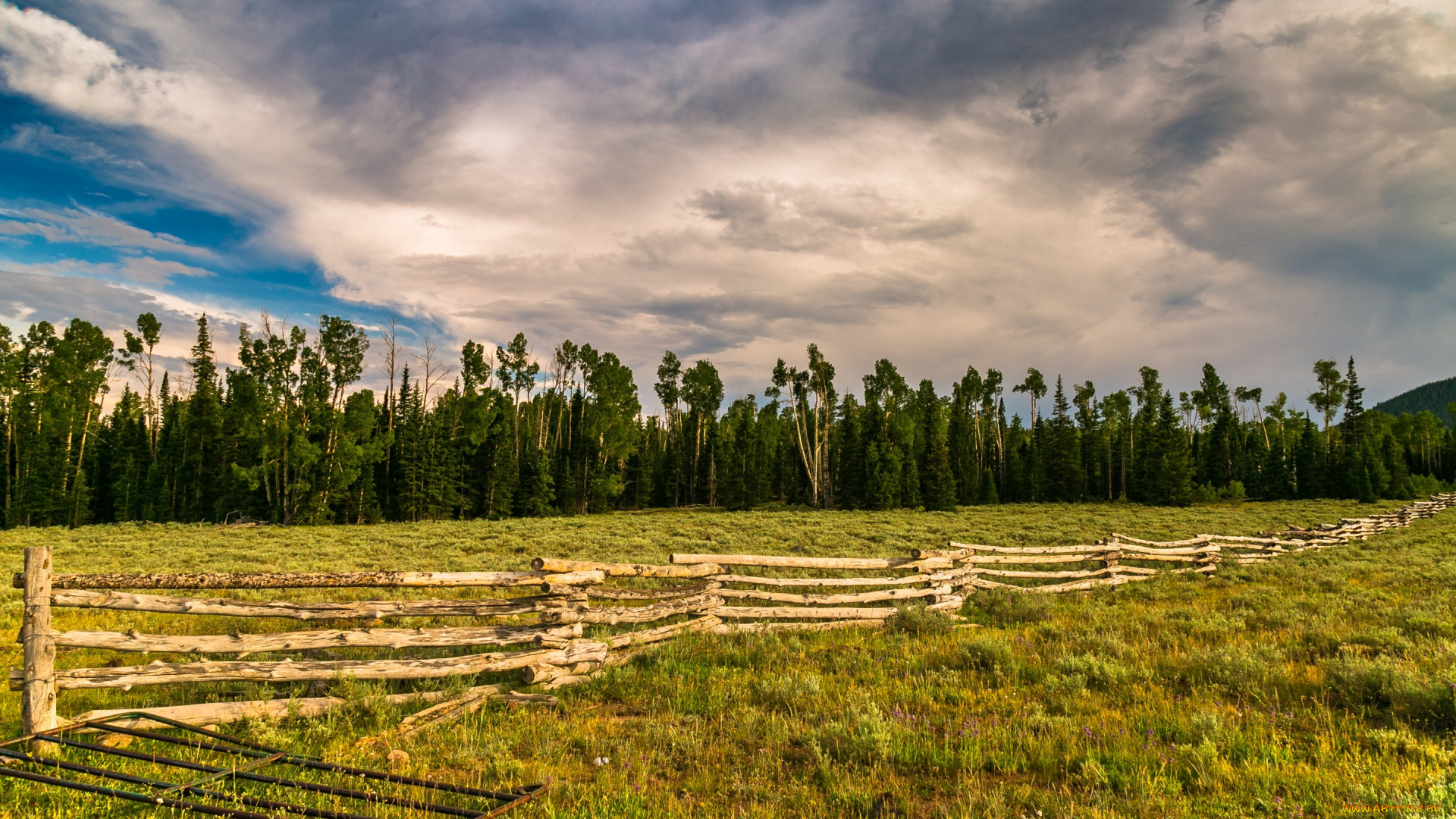 природа, луга, поле, лето, забор