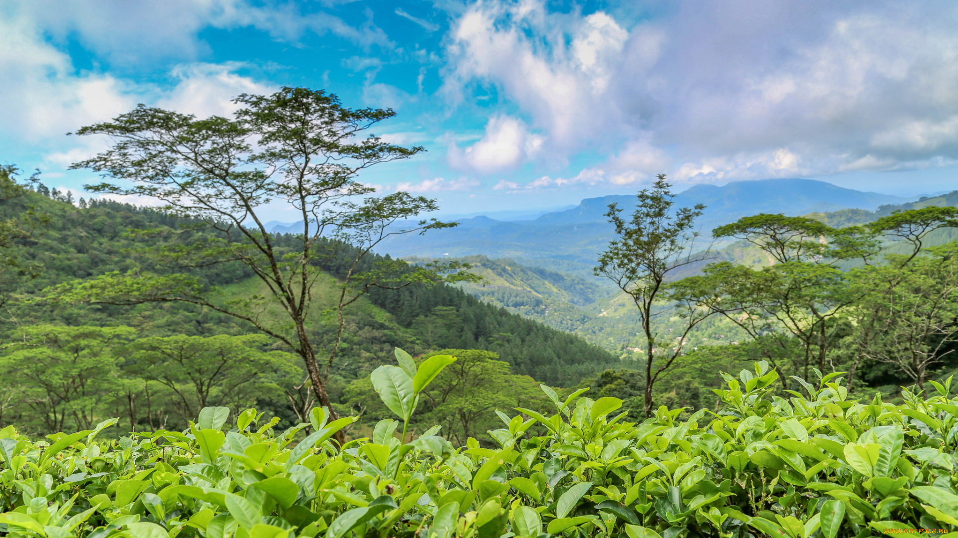 природа, пейзажи, простор