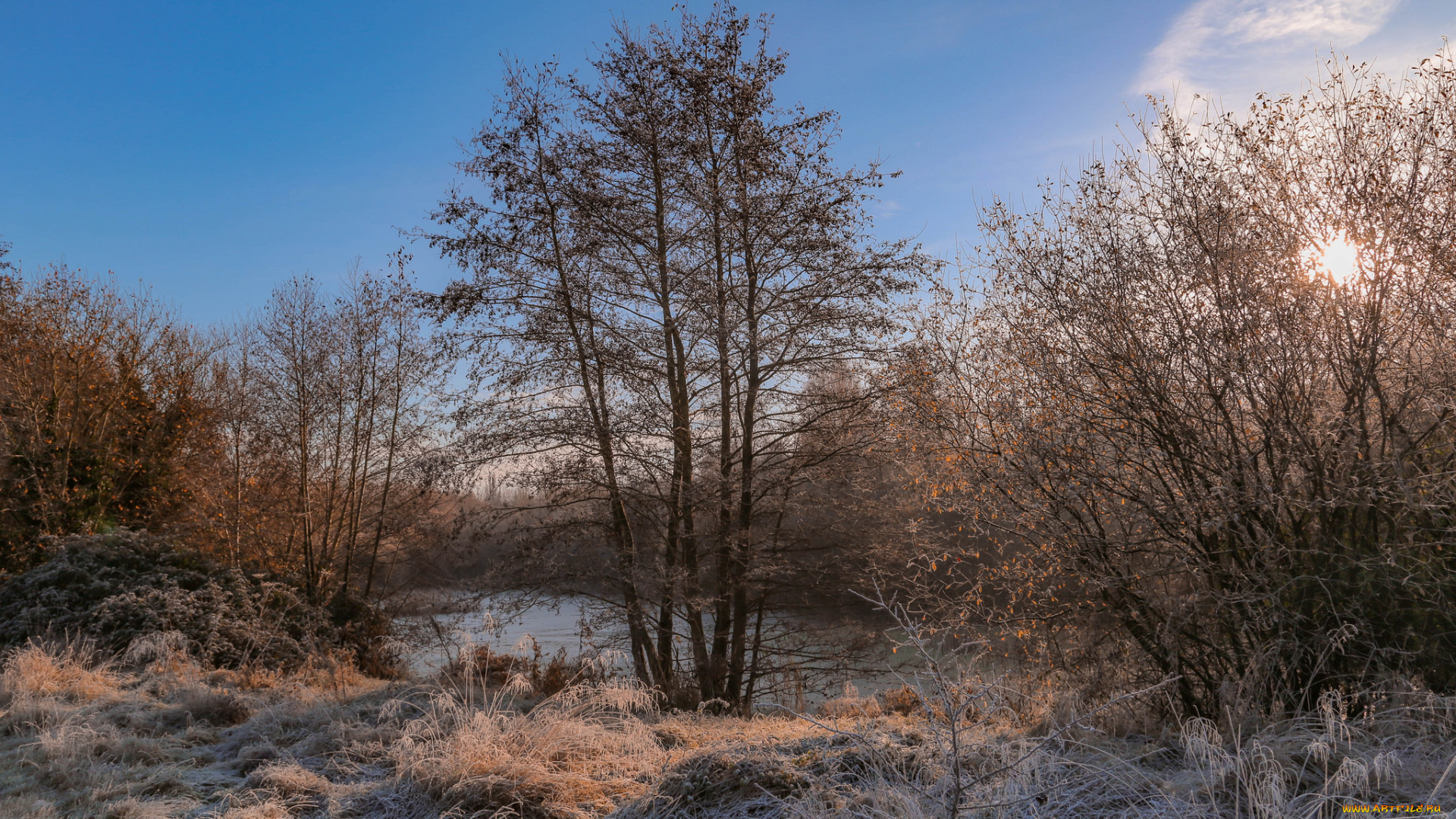 природа, пейзажи, простор