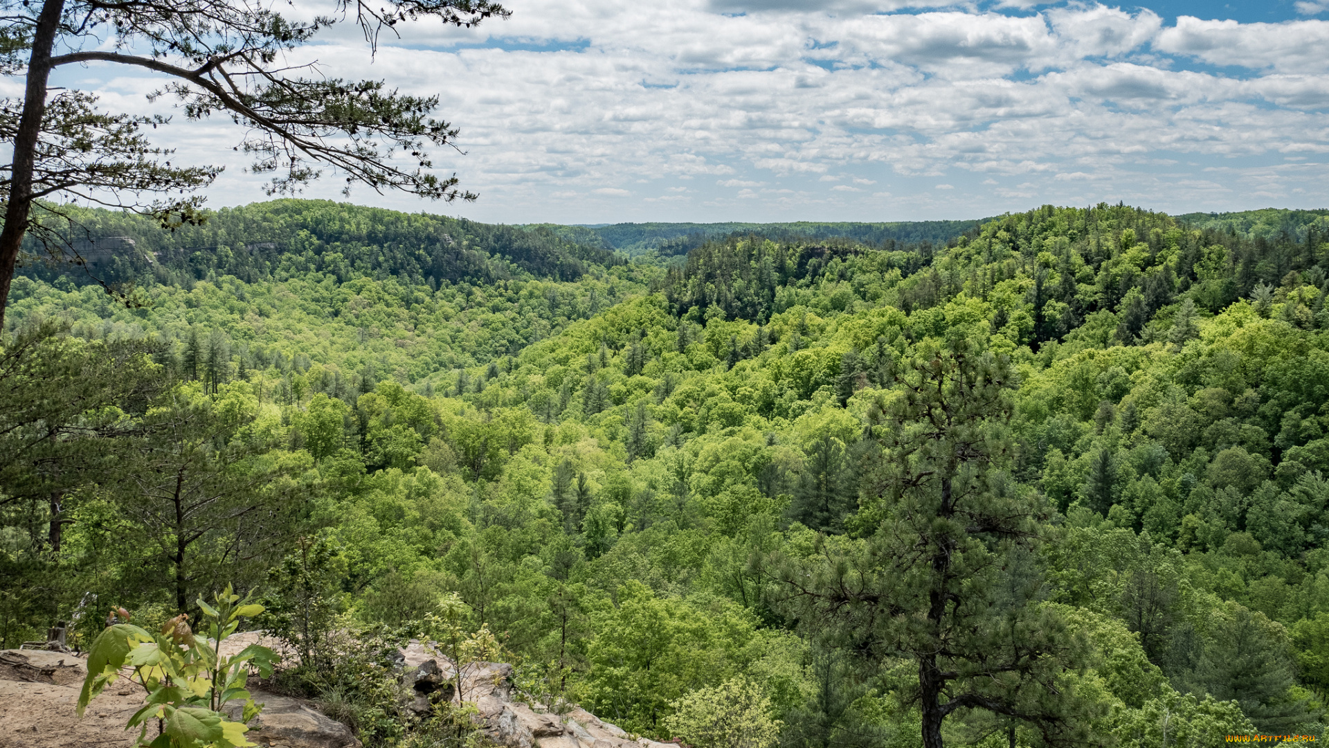 природа, пейзажи, простор