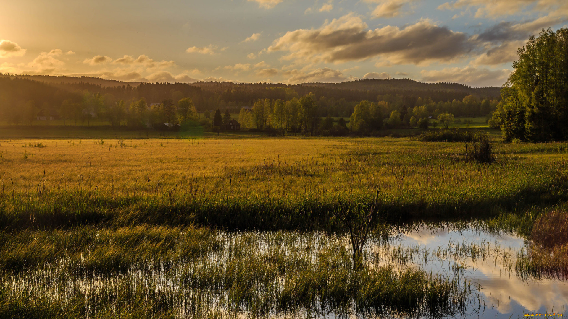 природа, пейзажи, простор