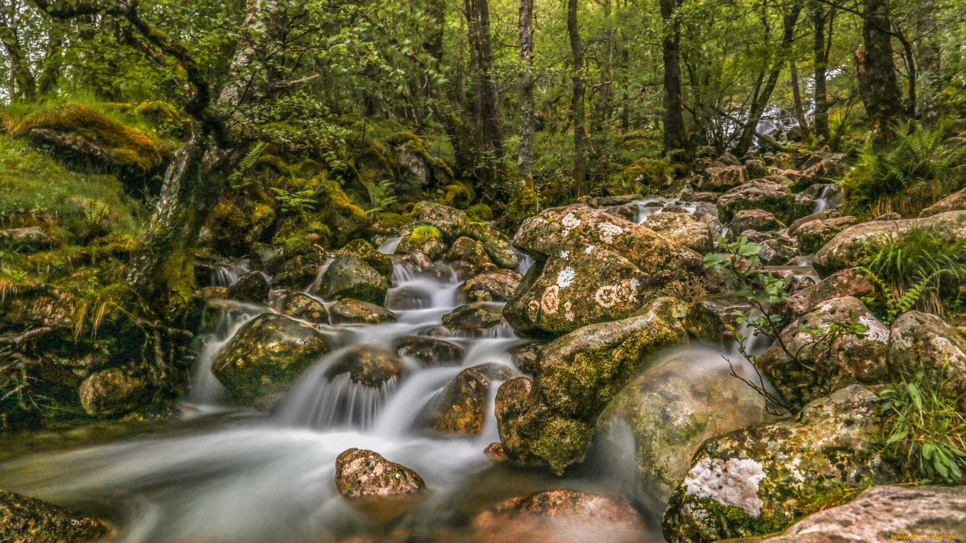 природа, реки, озера, простор