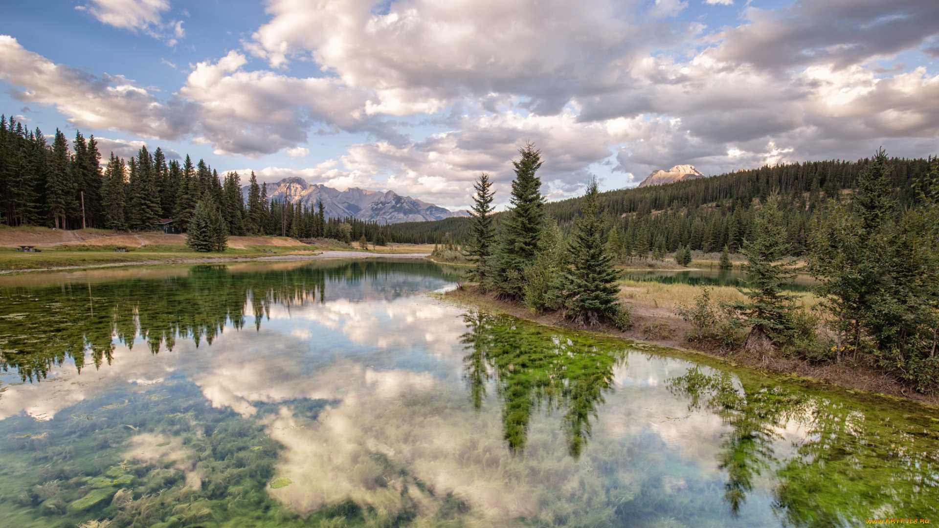 природа, реки, озера, река, лето