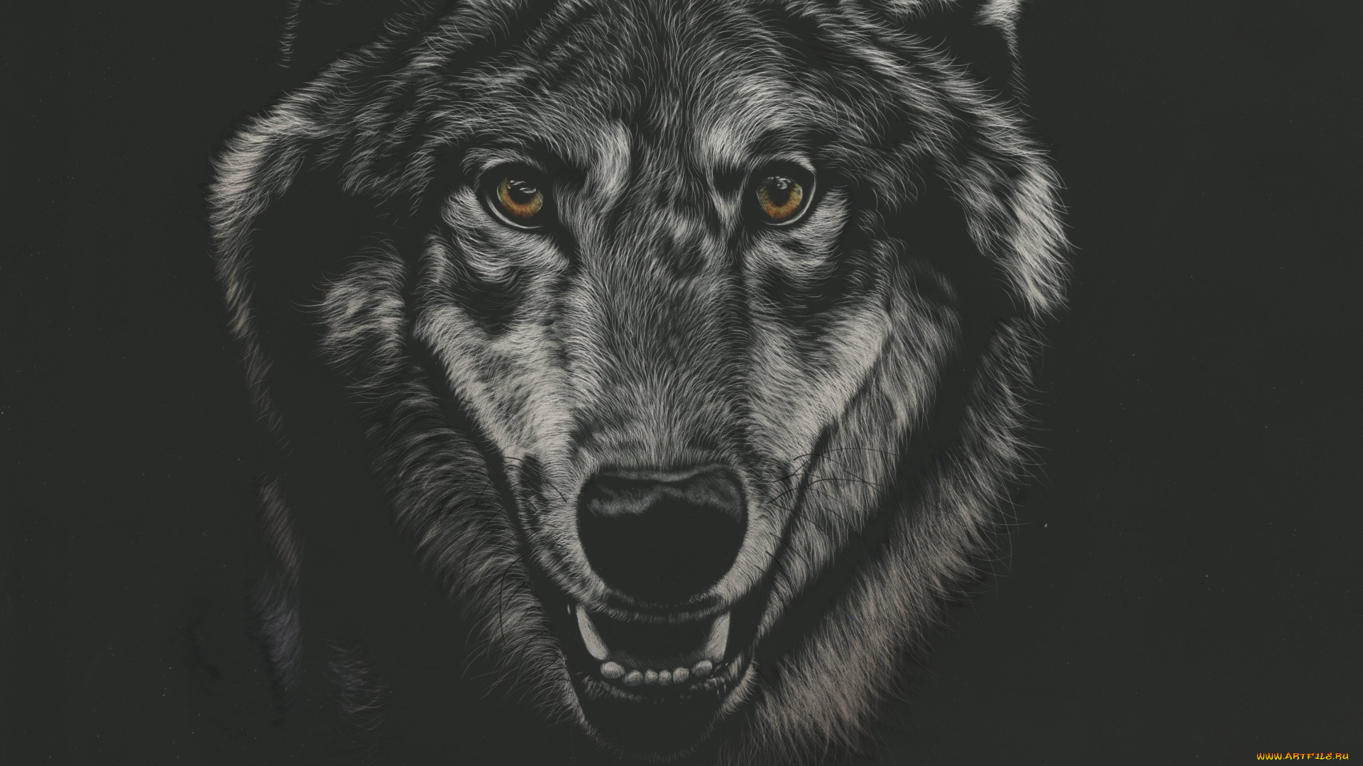 рисованное, животные, , волки, волк, фон, взгляд