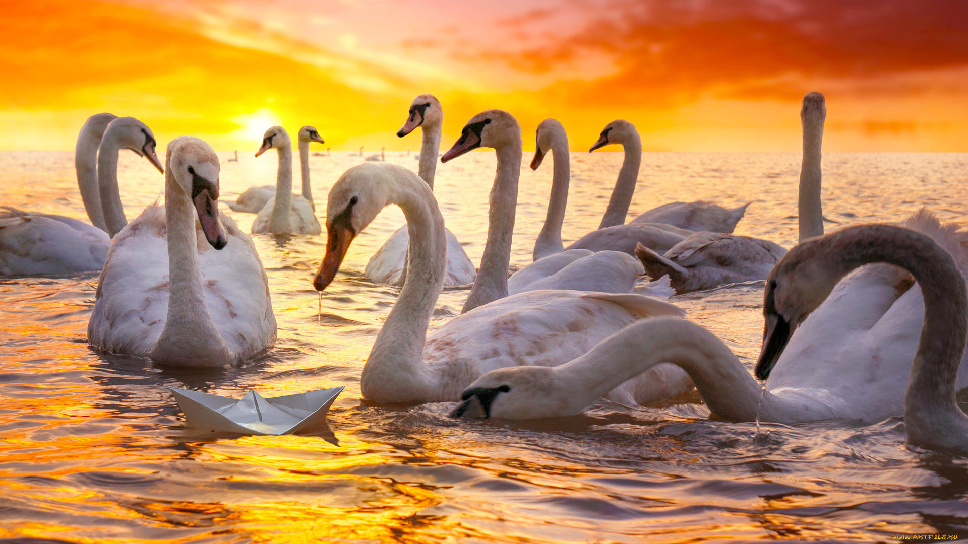 животные, лебеди, бумажный, кораблик