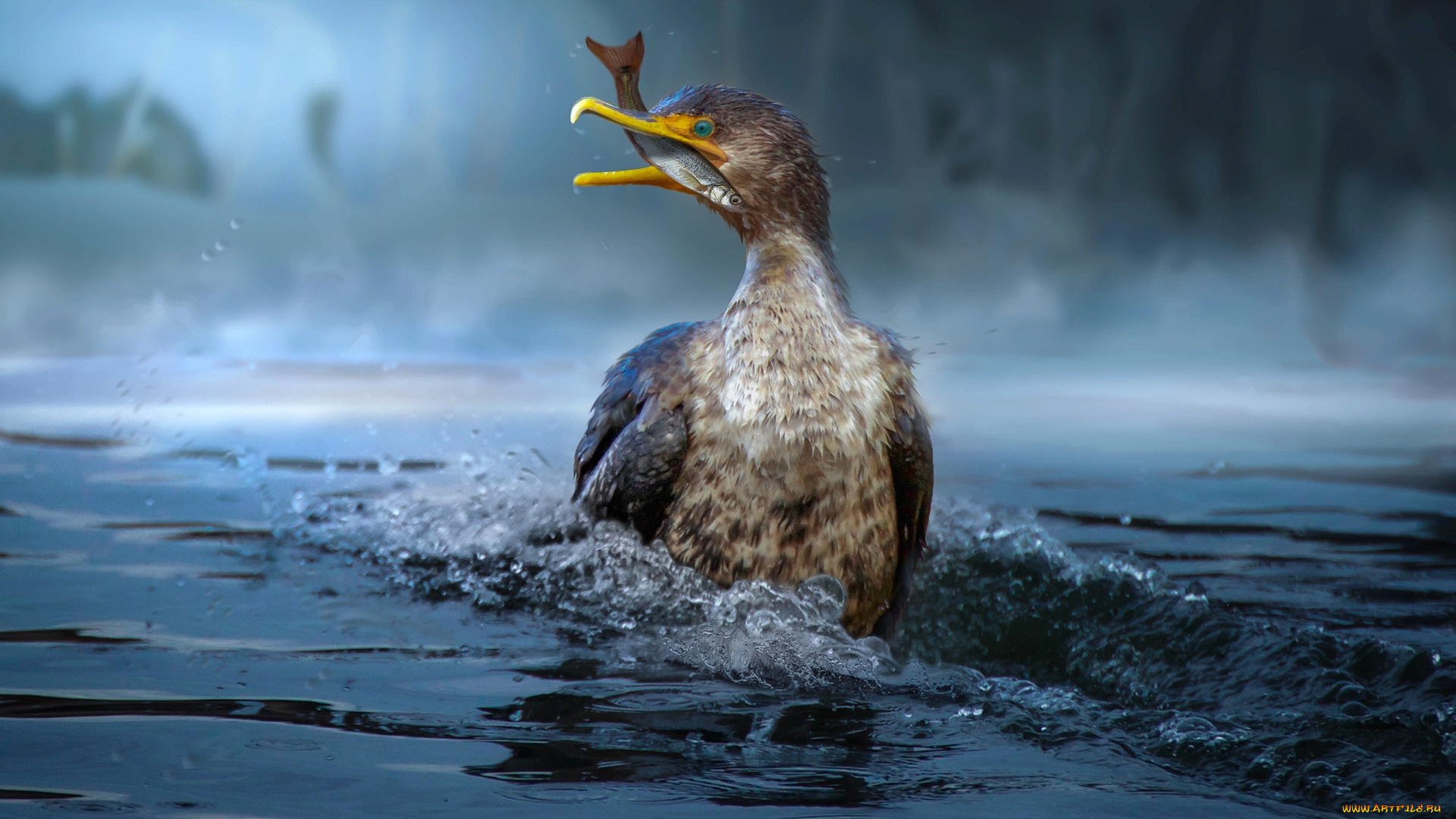 животные, птицы, водоем