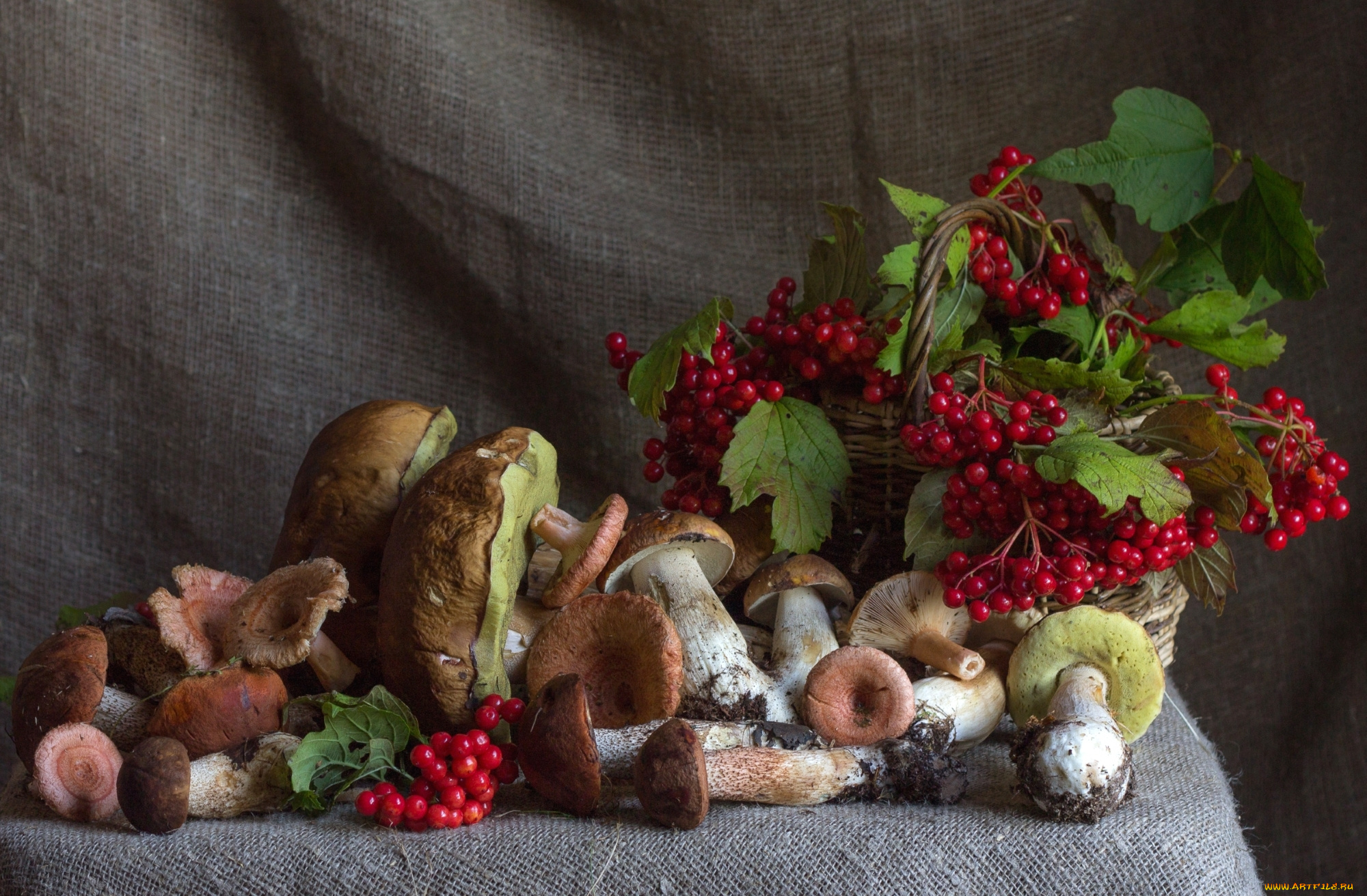 еда, грибы, , грибные, блюда, калина, ягоды, осень