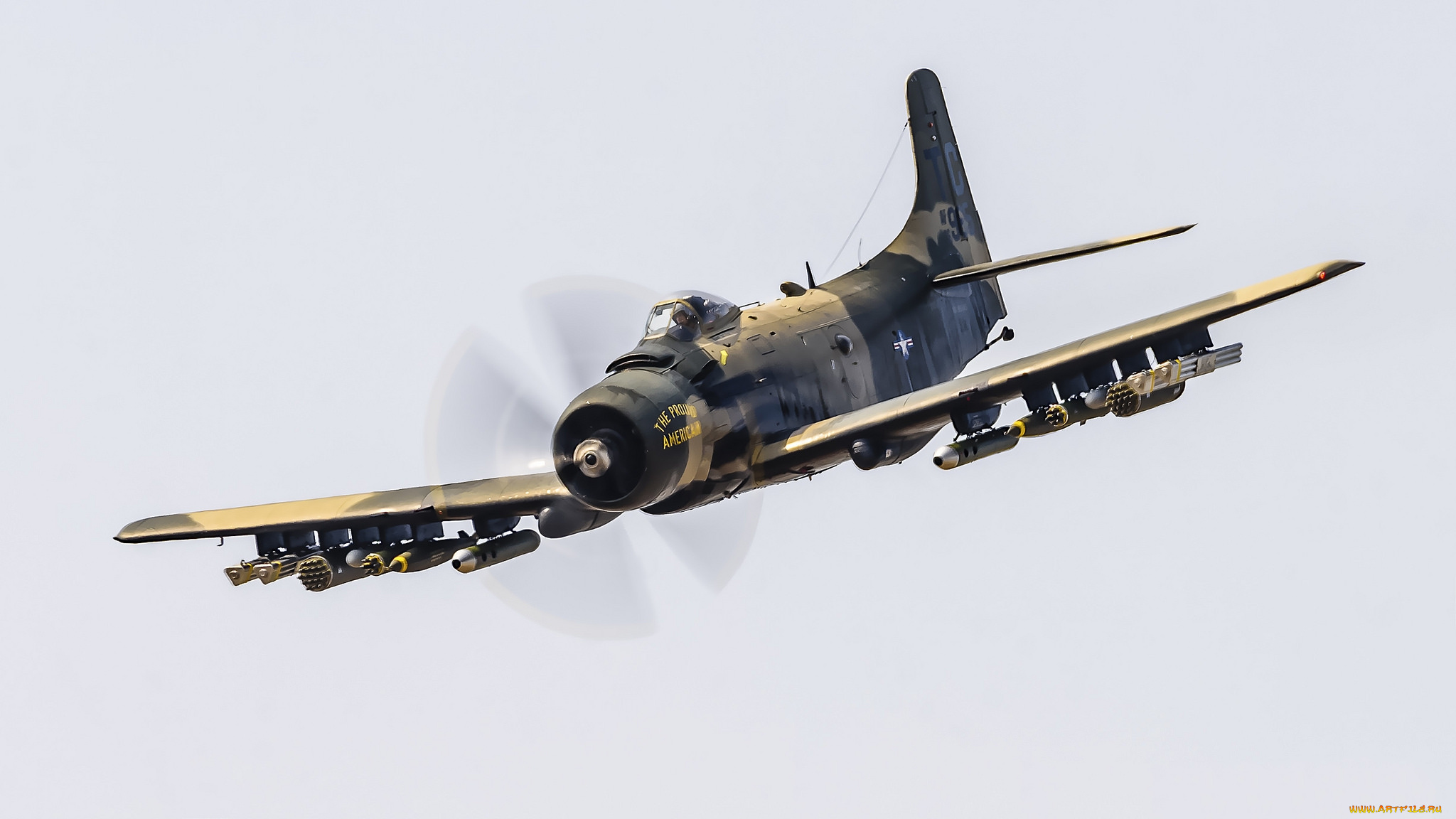 douglas, ad-4n, skyraider, авиация, боевые, самолёты, истребитель