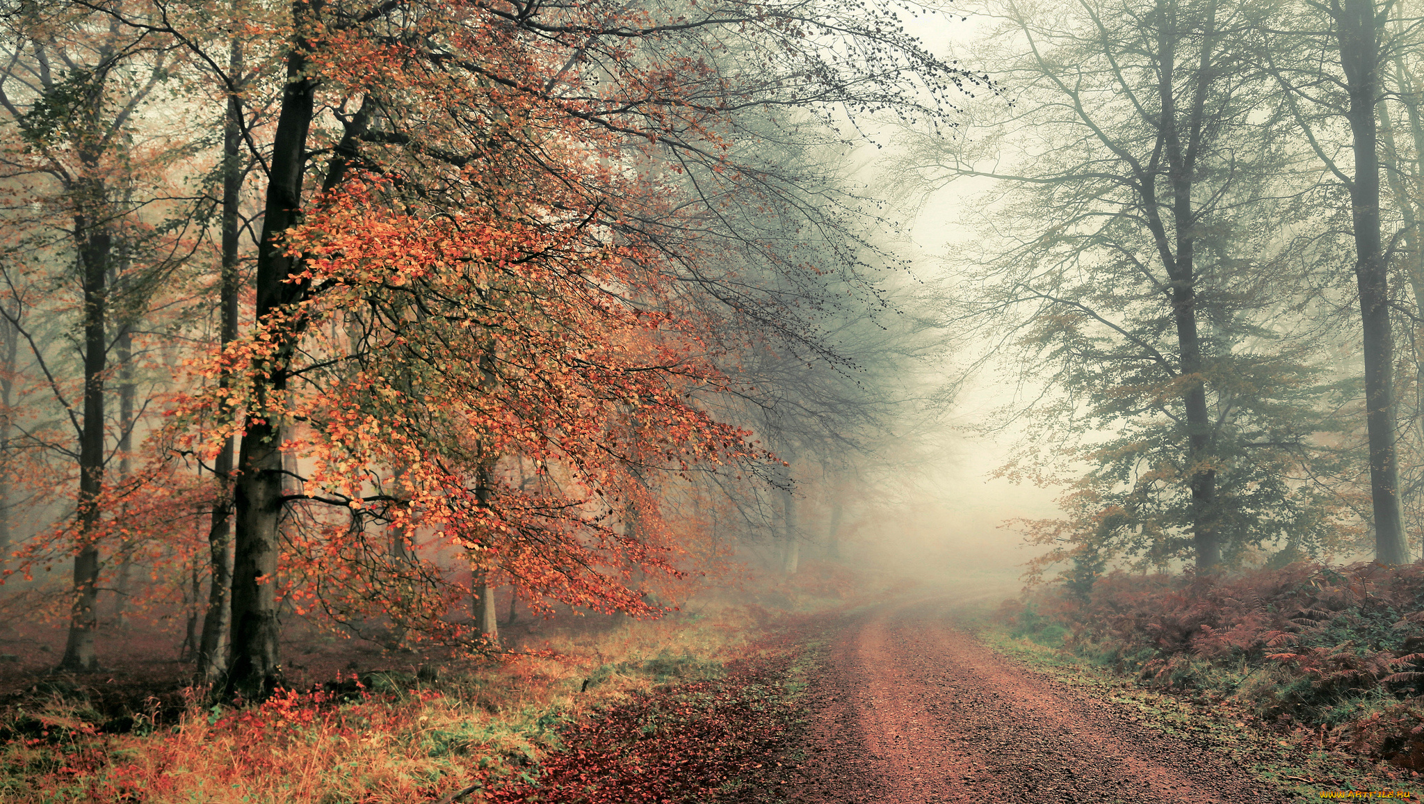 природа, дороги, простор