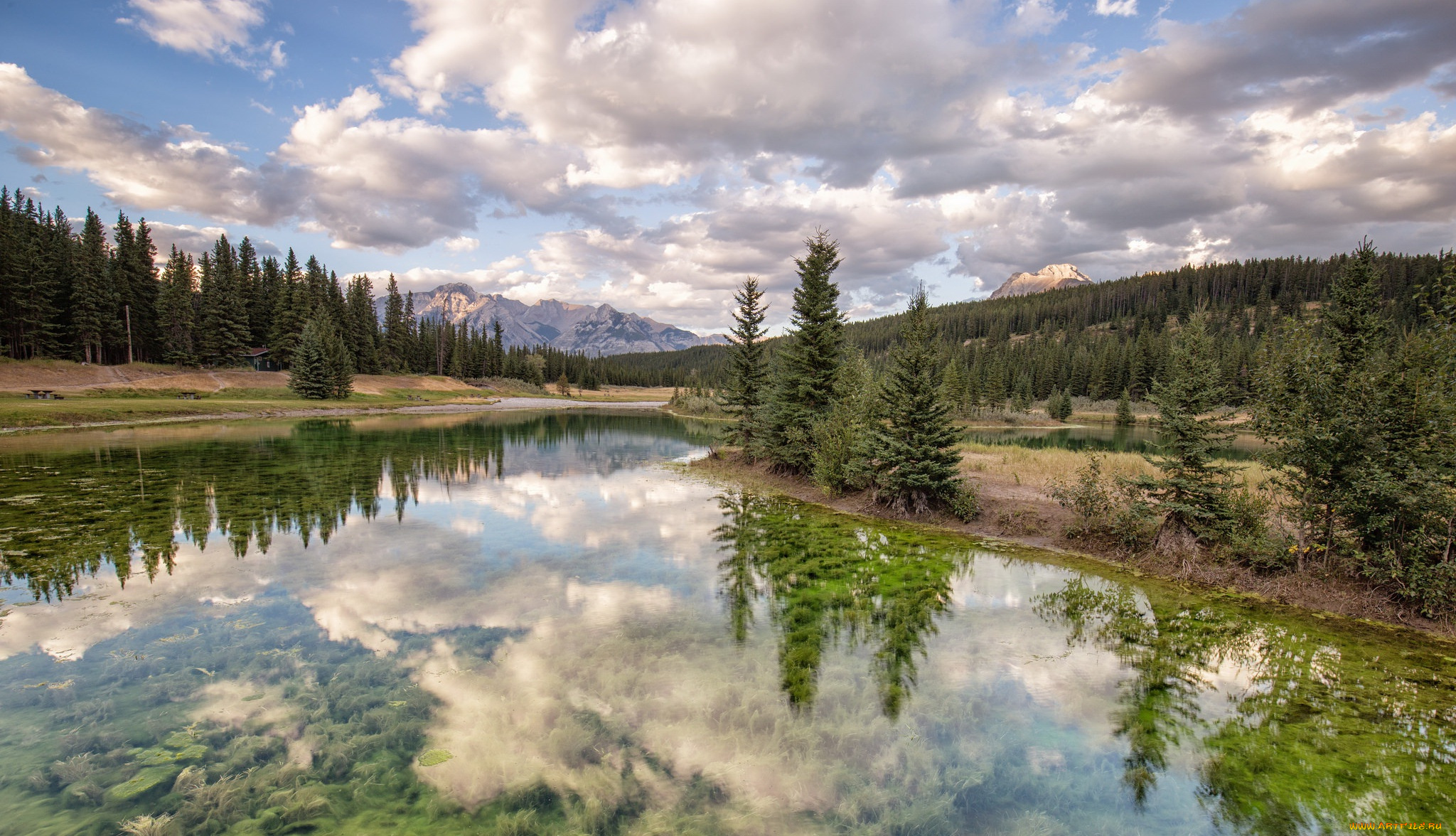 природа, реки, озера, река, лето