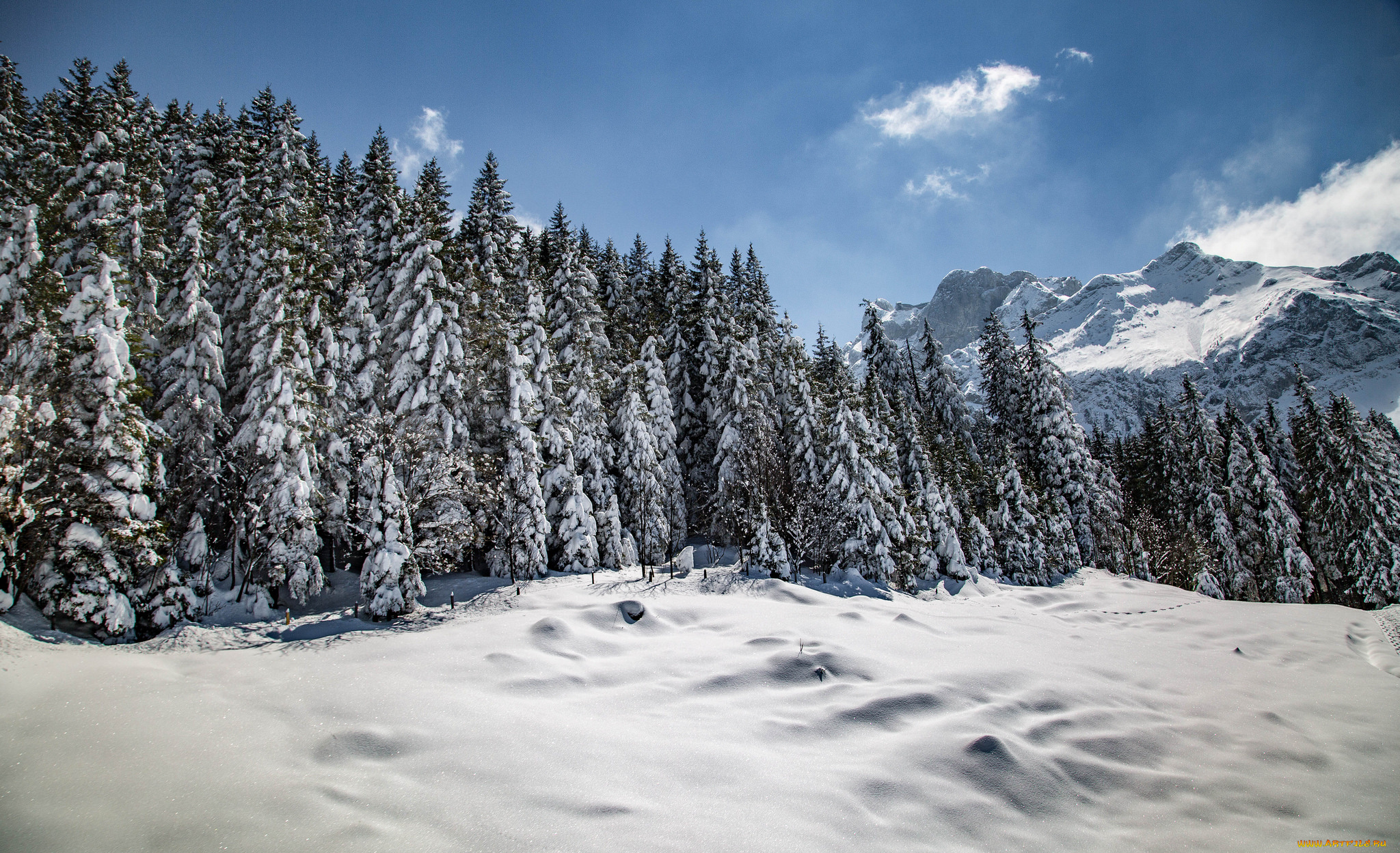 природа, зима, простор