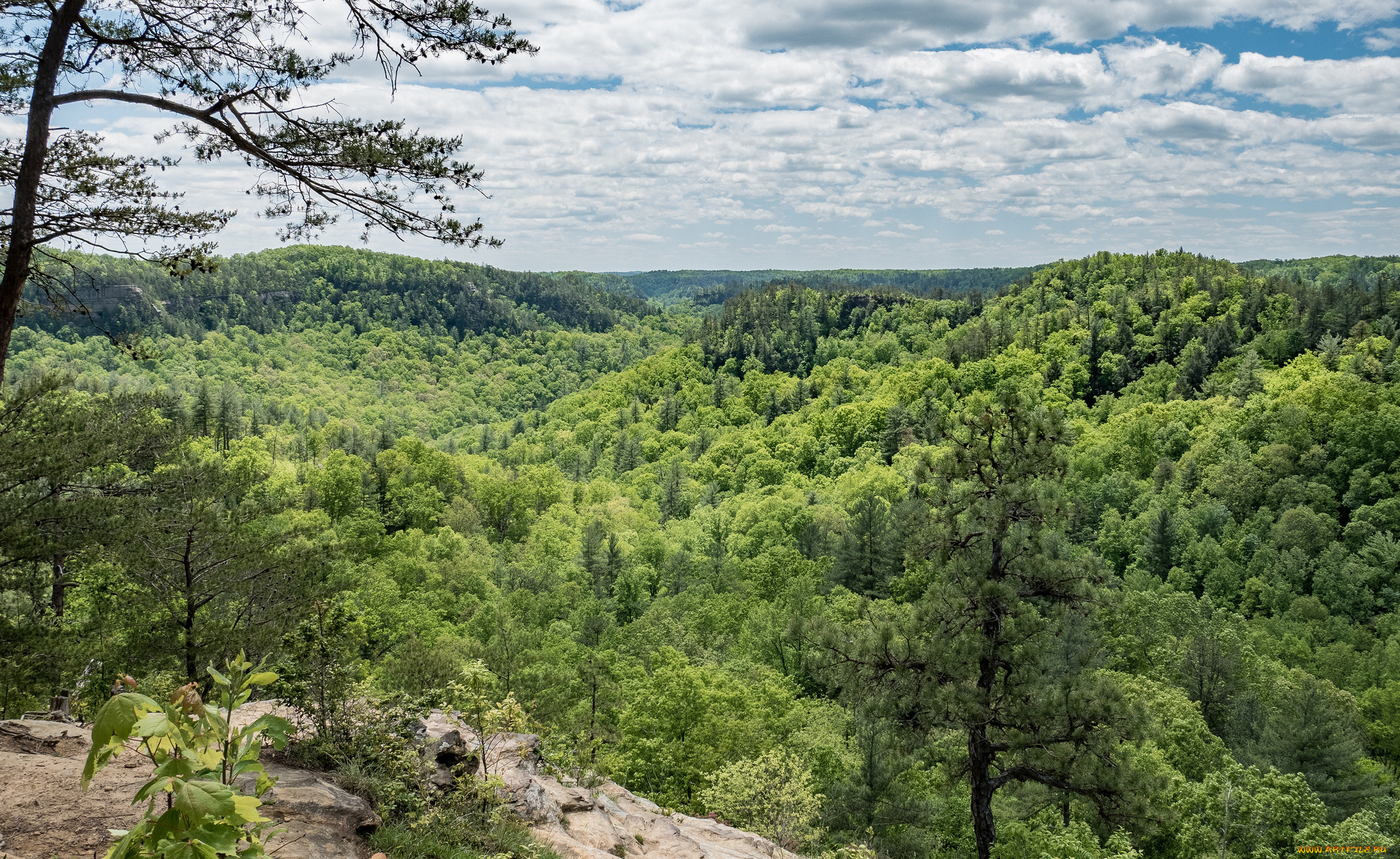 природа, пейзажи, простор