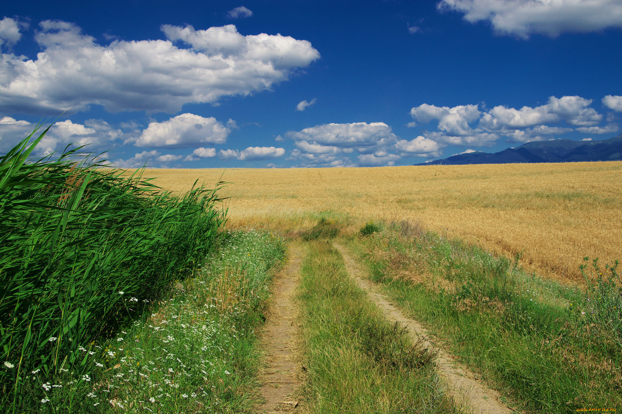 природа, дороги, простор