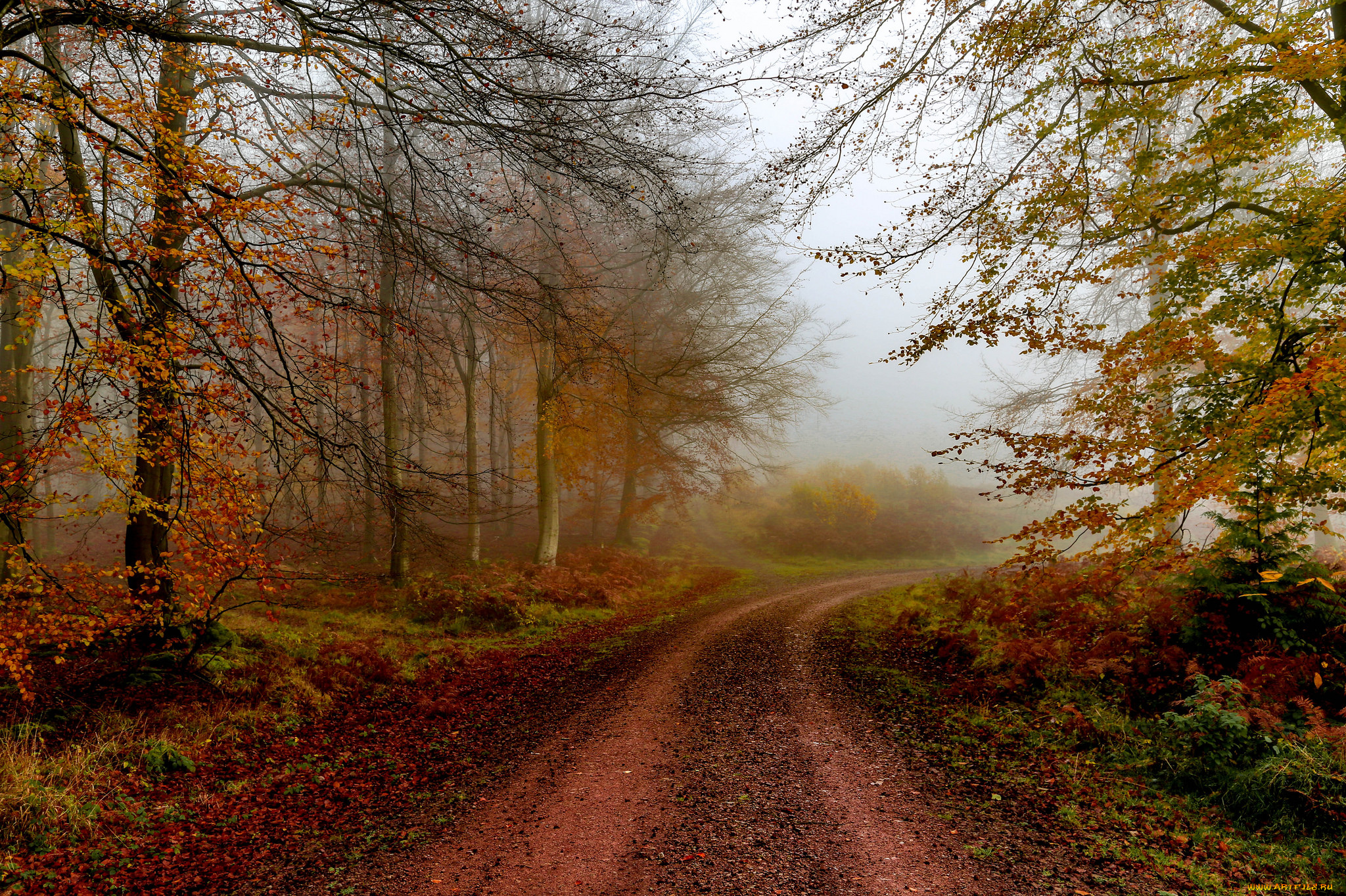 природа, дороги, простор