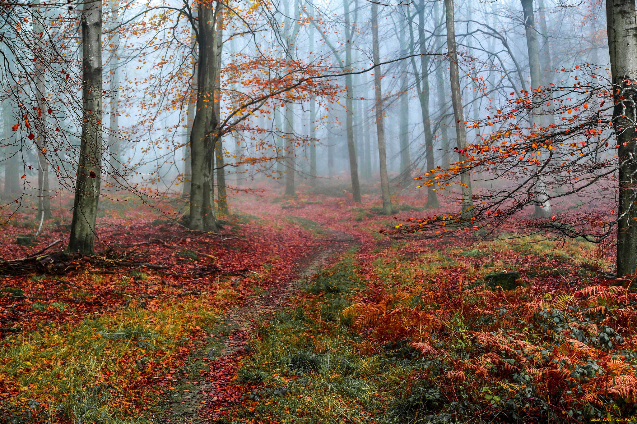 природа, дороги, простор