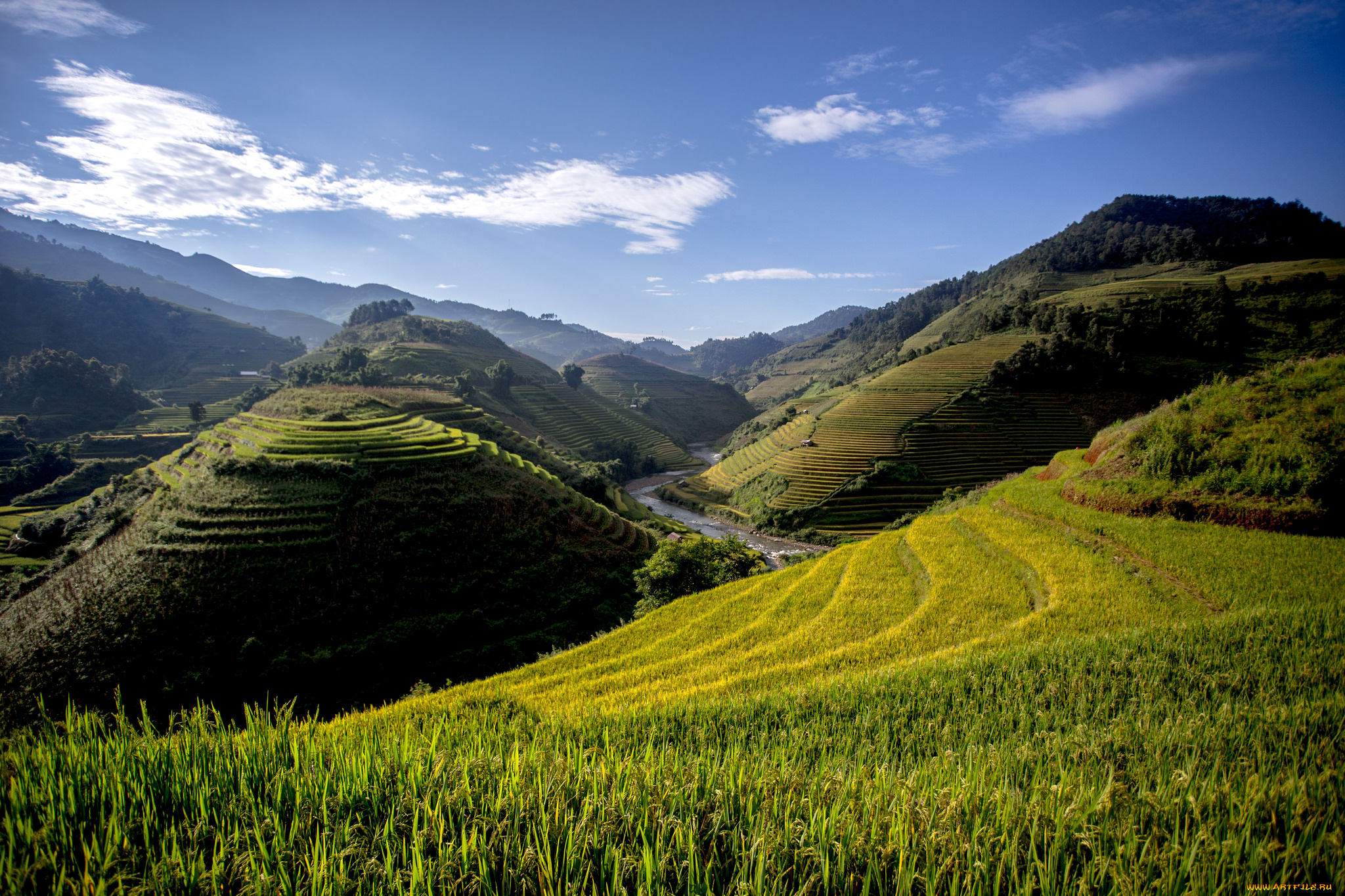 природа, пейзажи, простор