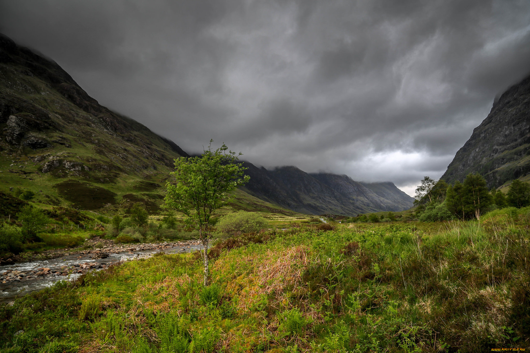 природа, пейзажи, простор