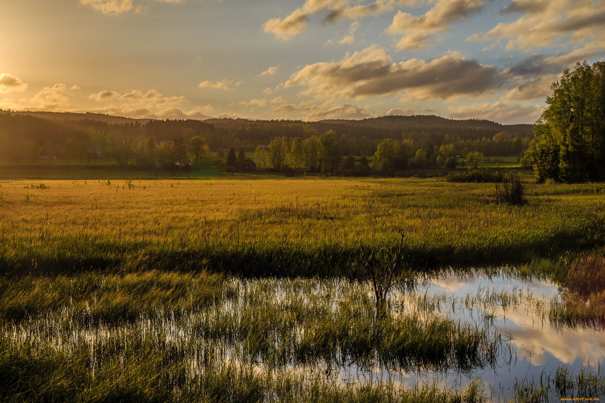 природа, пейзажи, простор