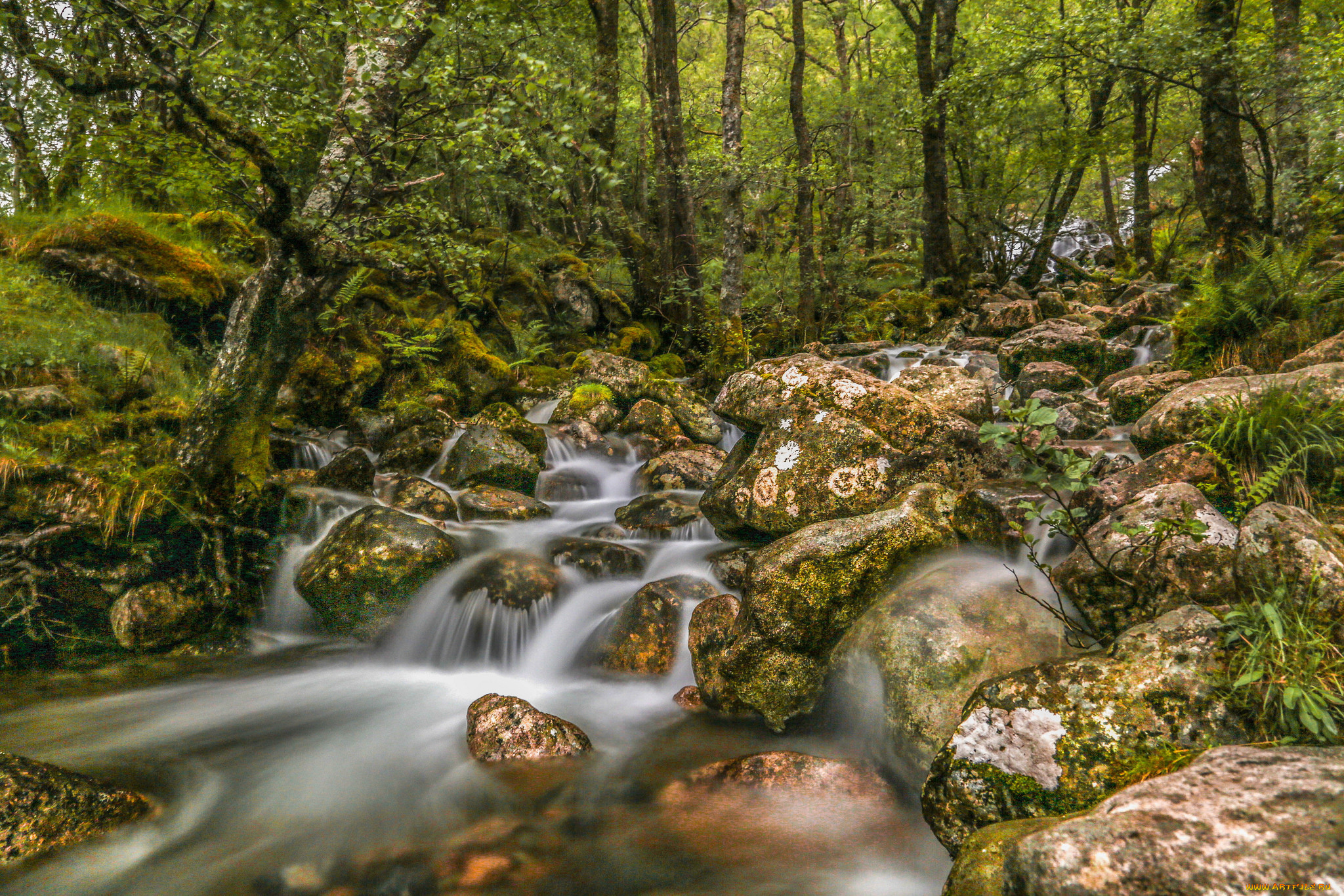 природа, реки, озера, простор