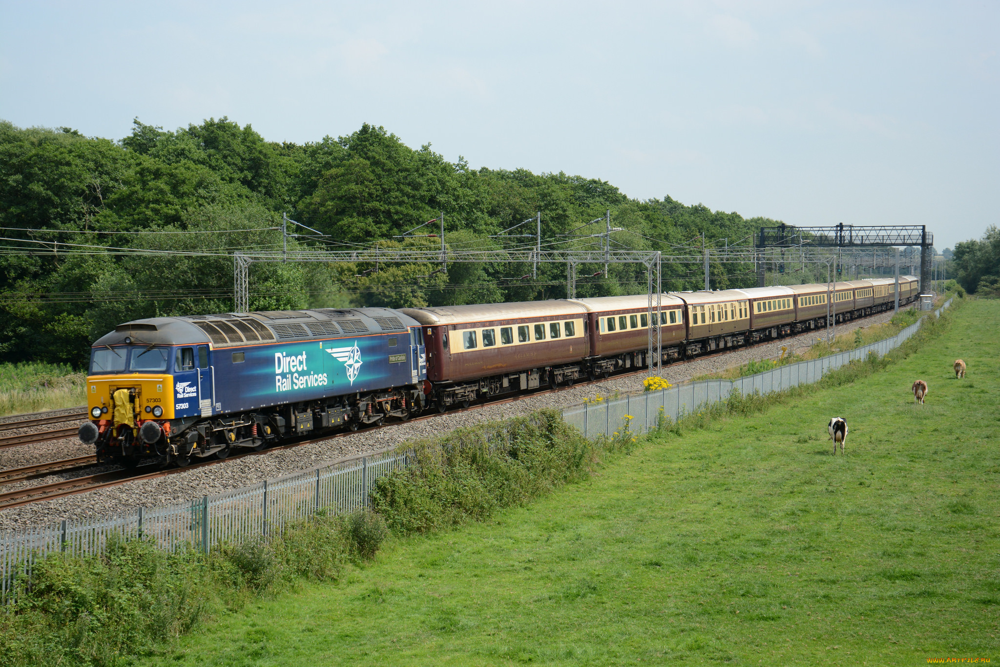 техника, поезда, состав, локомотив