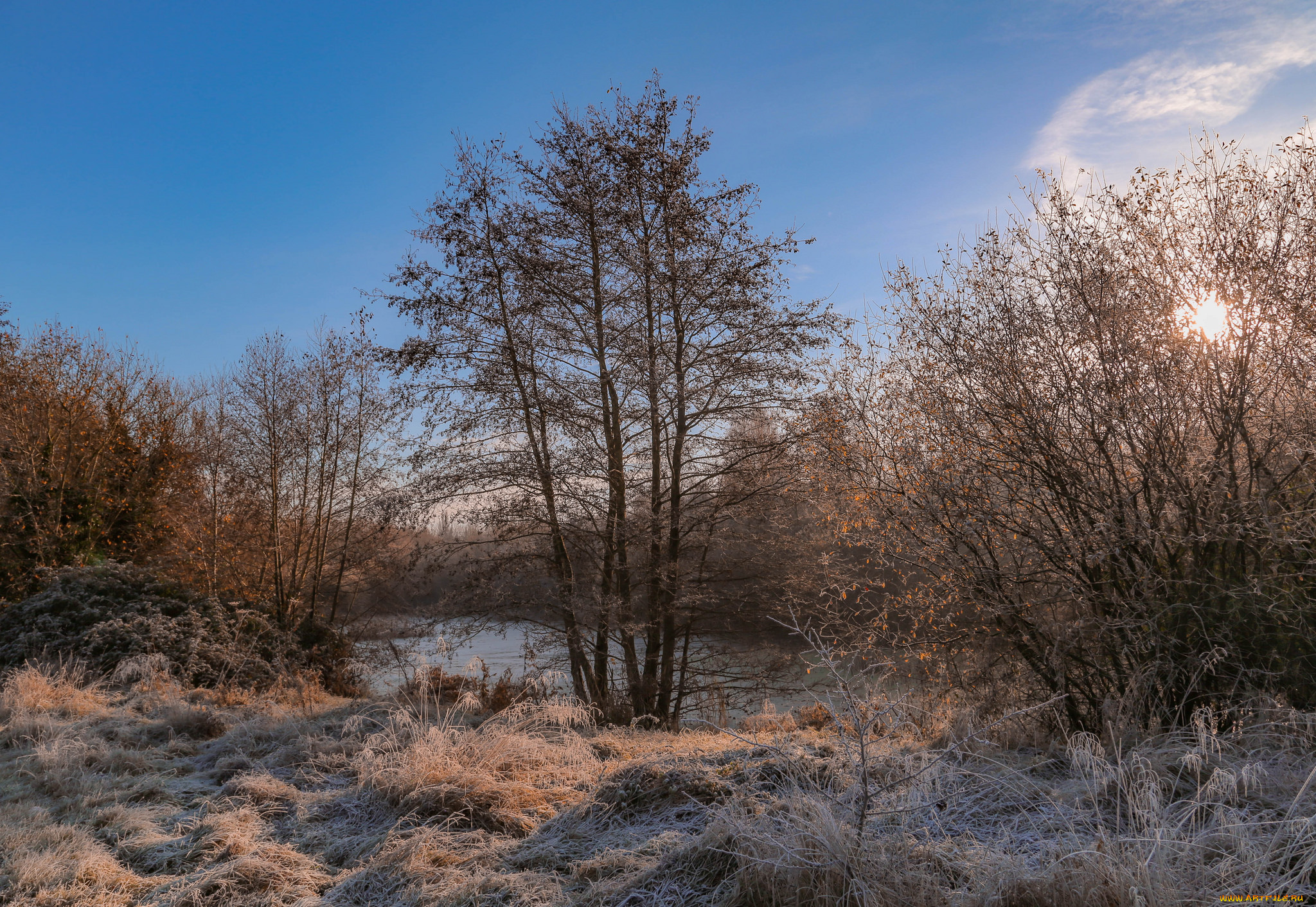 природа, пейзажи, простор