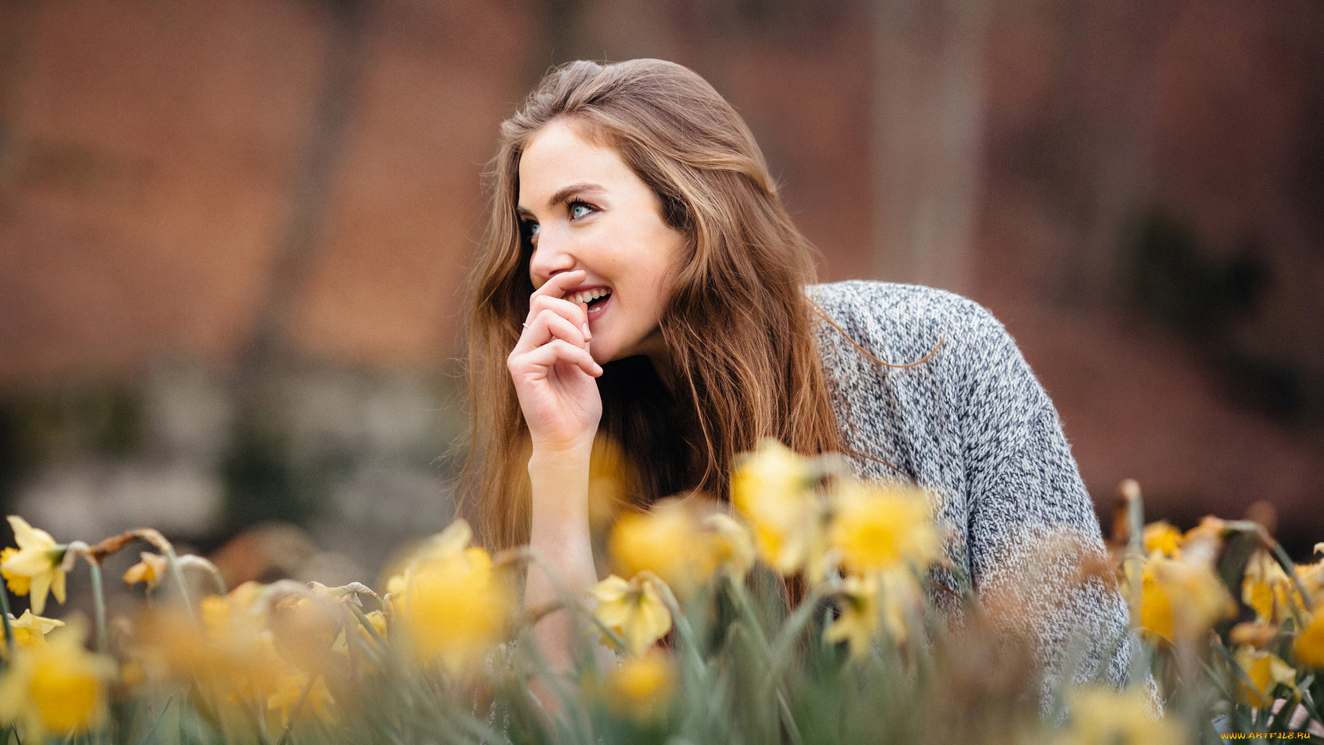 девушка, девушки, -unsort, , рыжеволосые, и, другие, модель