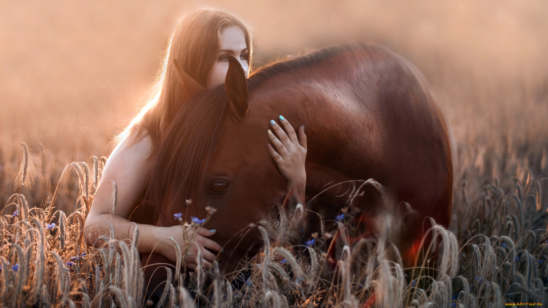 девушки, -unsort, , рыжеволосые, и, другие, поле, лошадь, девушка