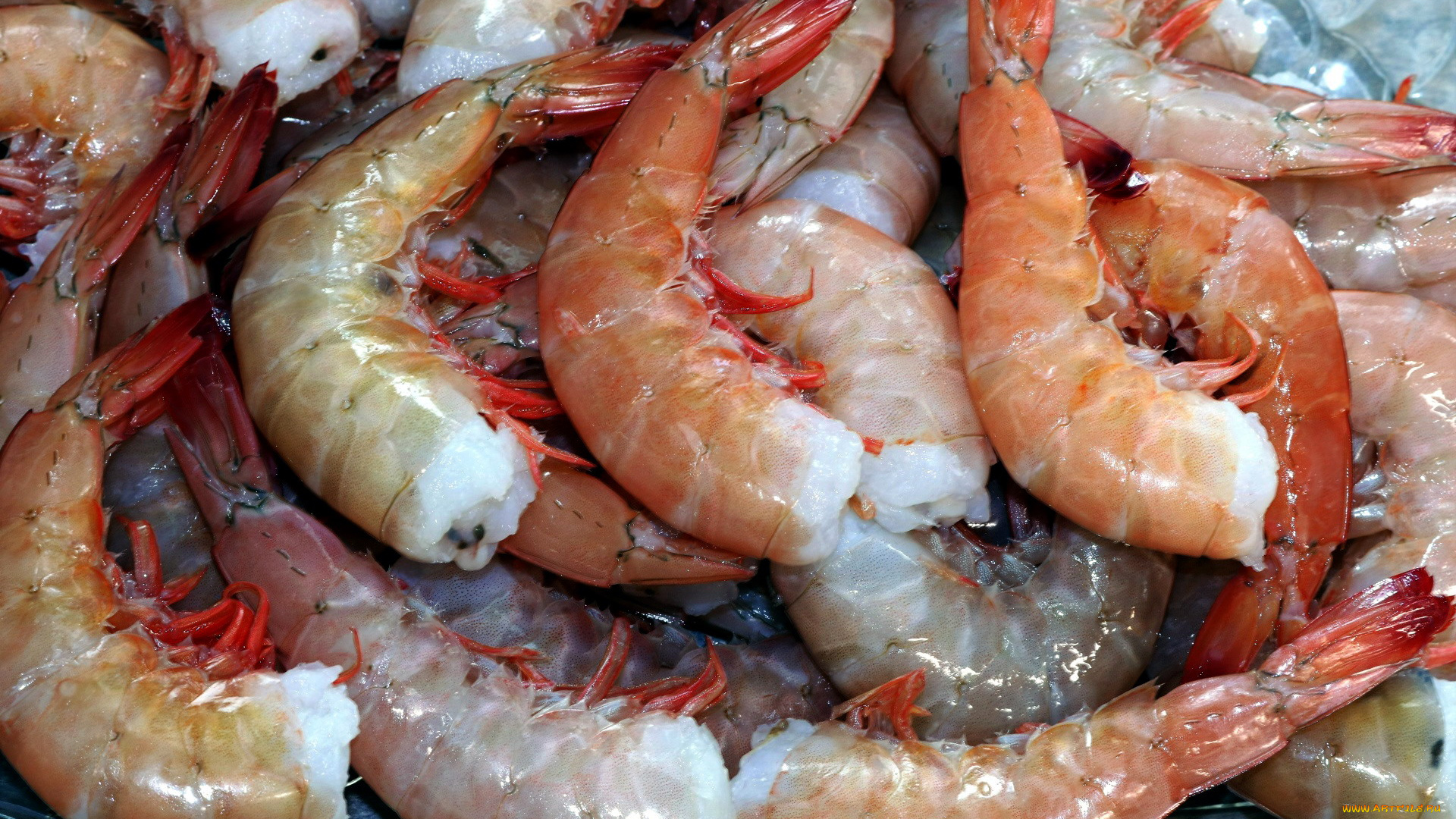 еда, рыба, , морепродукты, , суши, , роллы, креветки