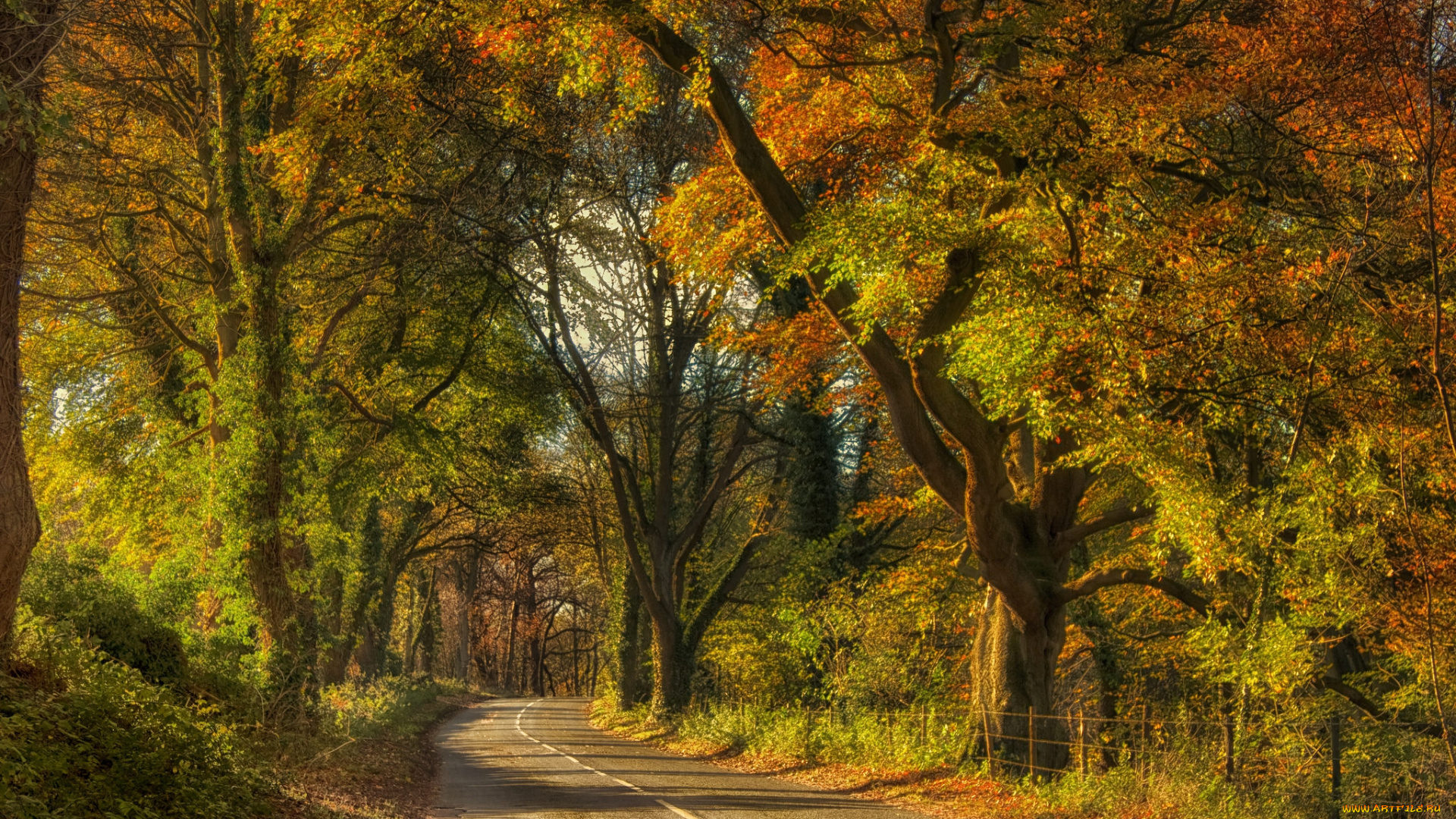 природа, дороги, простор