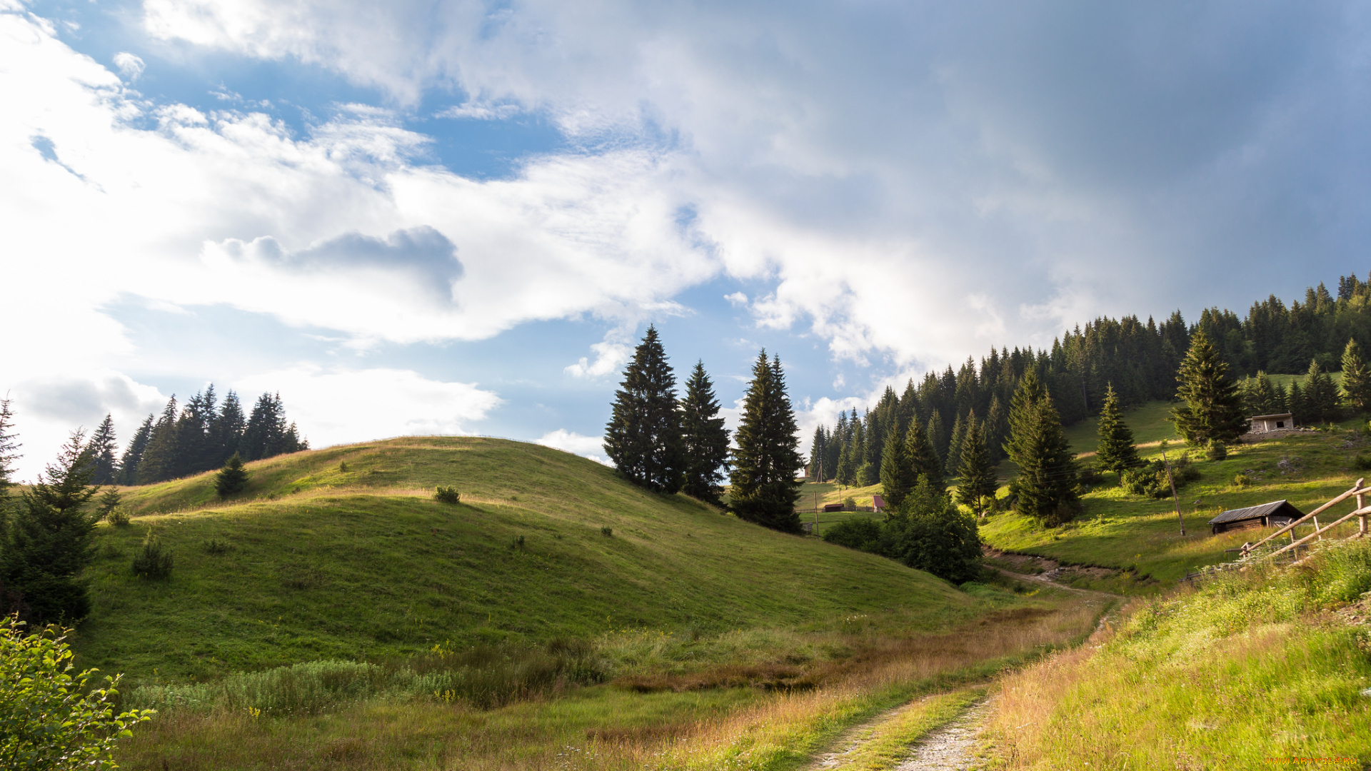 природа, дороги, простор