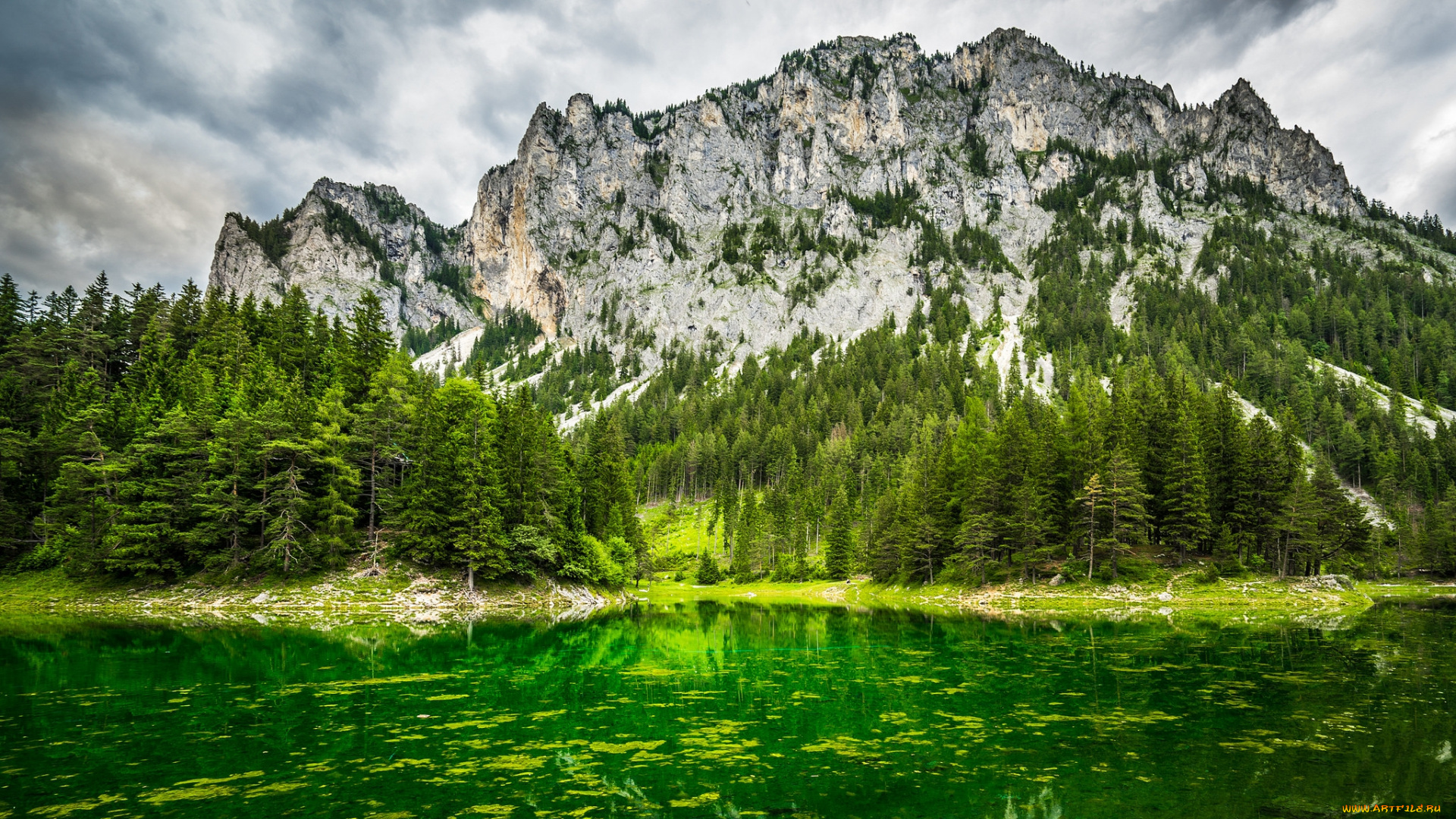 природа, горы, простор