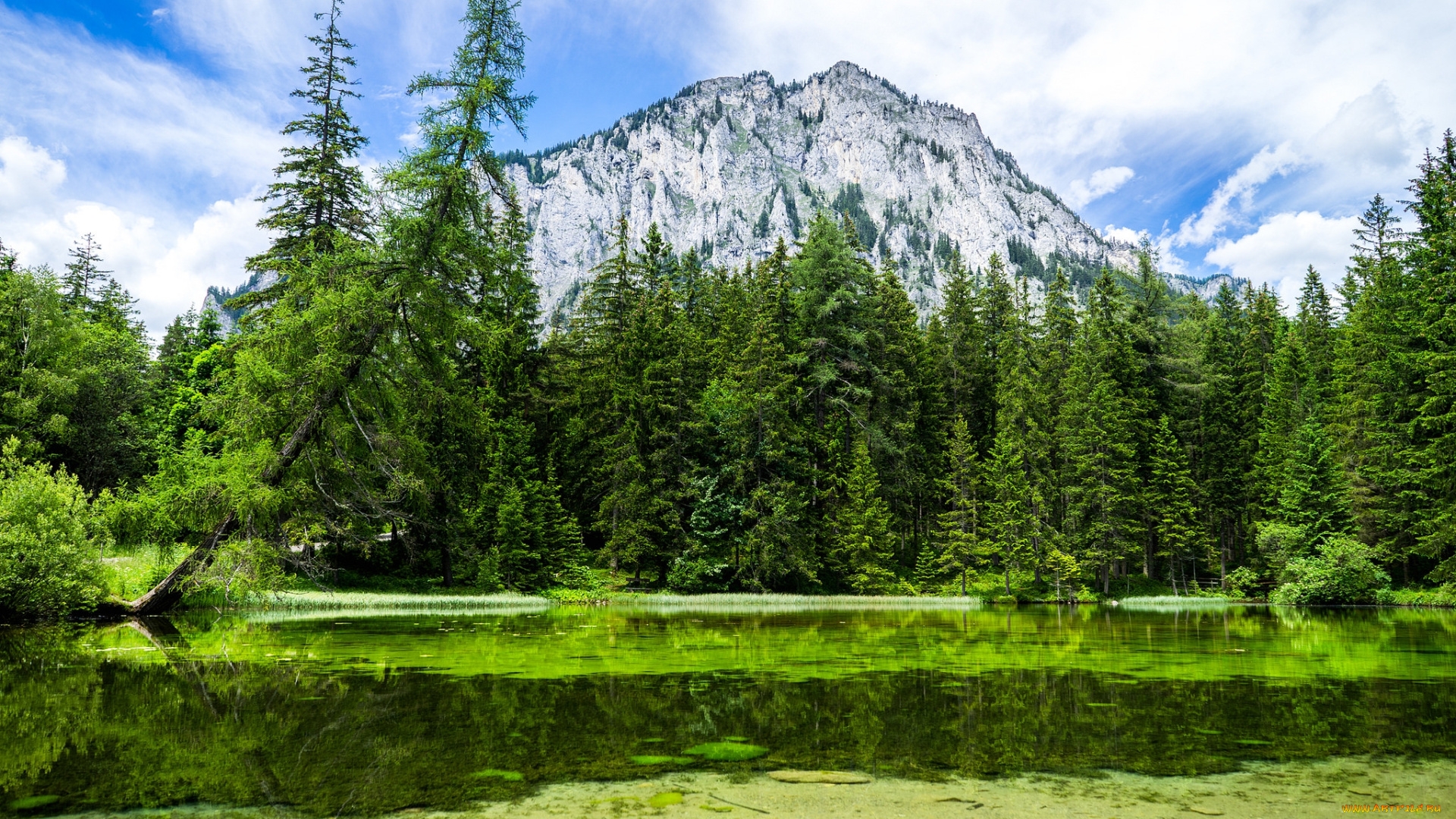 природа, горы, простор